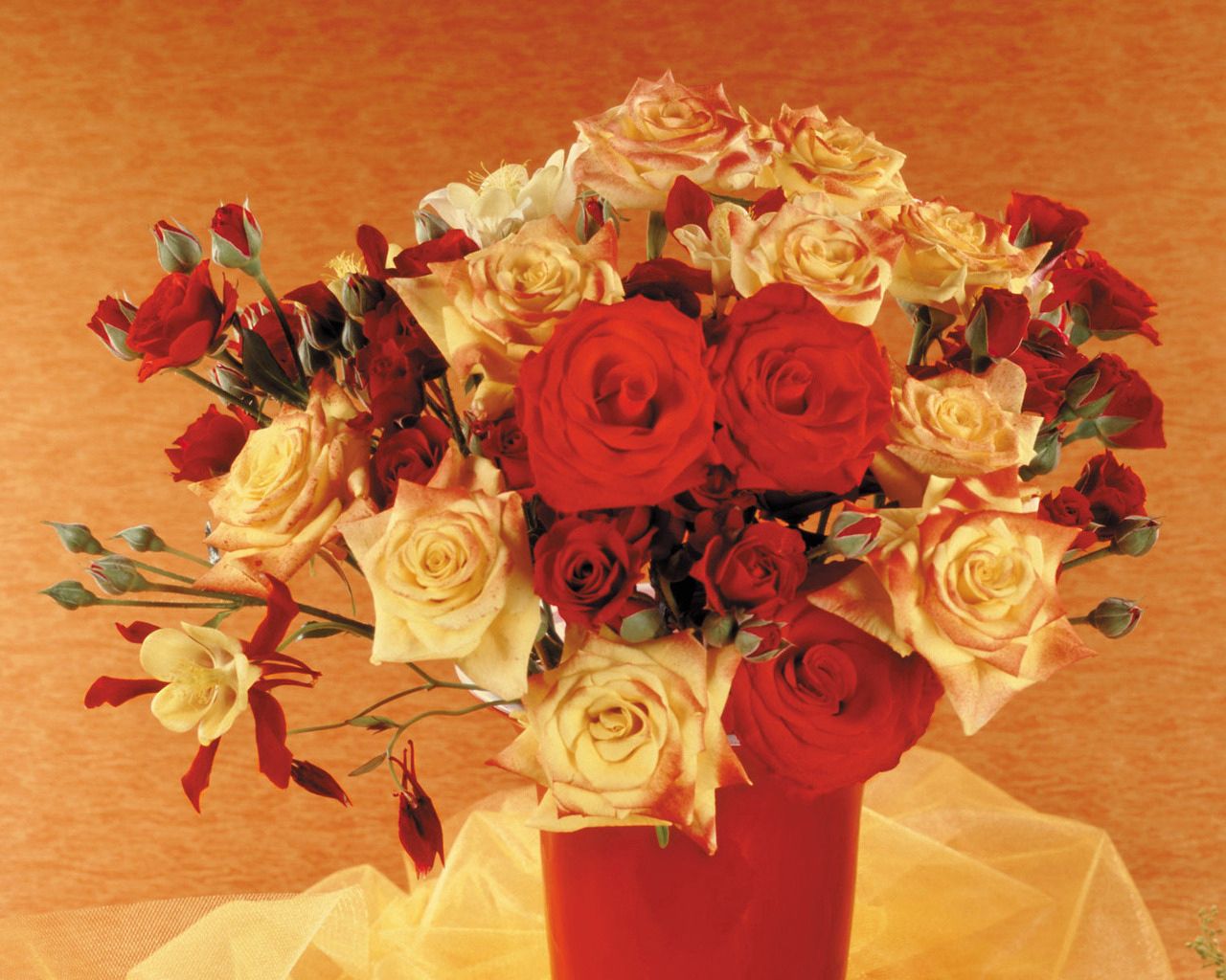 Téléchargez des papiers peints mobile Buisson, Broussaille, Inscription, Fleurs, Roses, Typographie, Vase, Bouquet gratuitement.