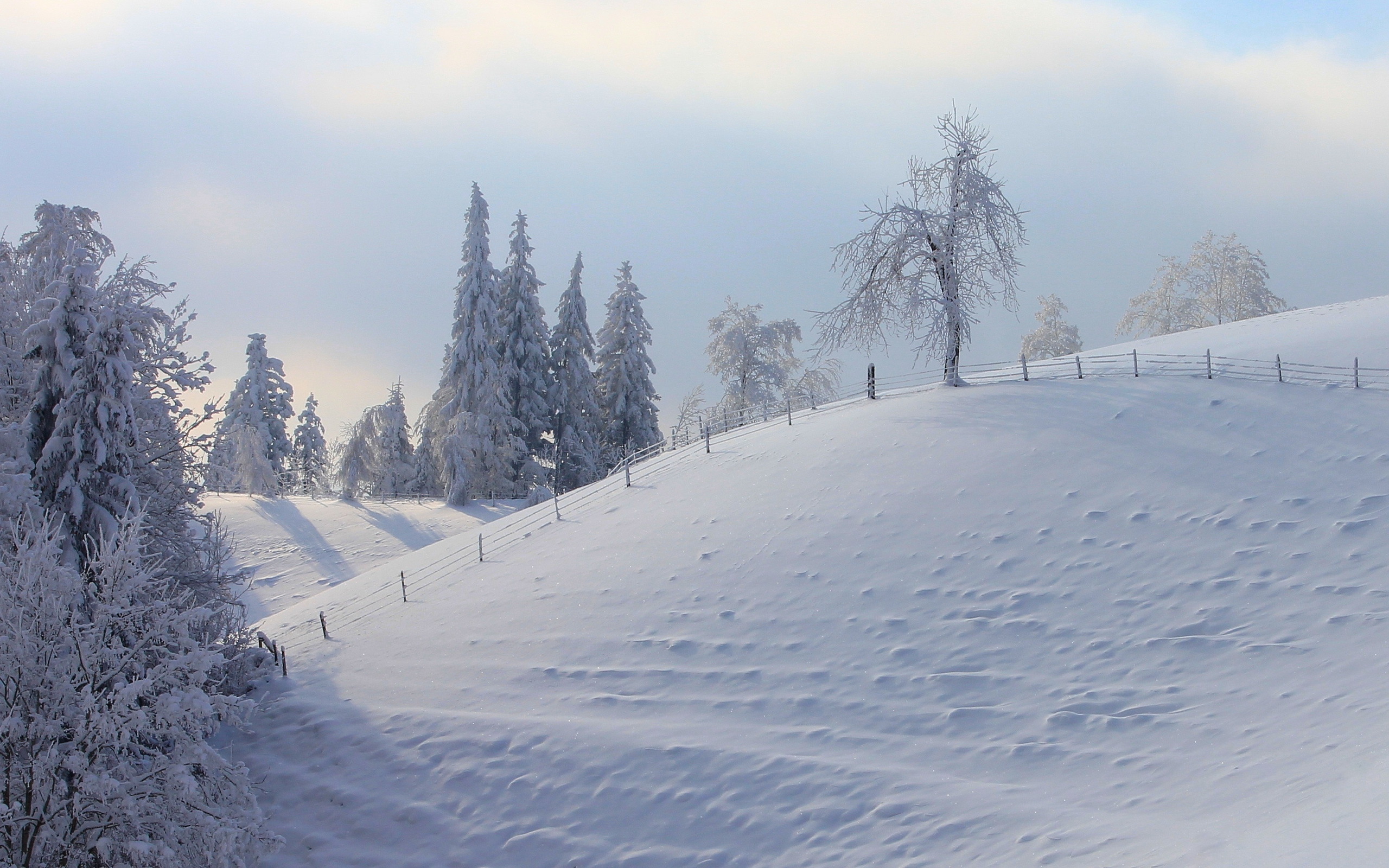 Free download wallpaper Winter, Landscape, Trees on your PC desktop