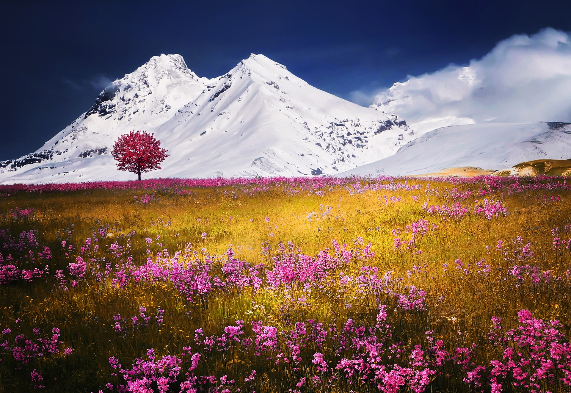 Download mobile wallpaper Nature, Mountains, Snow, Mountain, Flower, Tree, Earth, Meadow, Pink Flower, Lonely Tree for free.