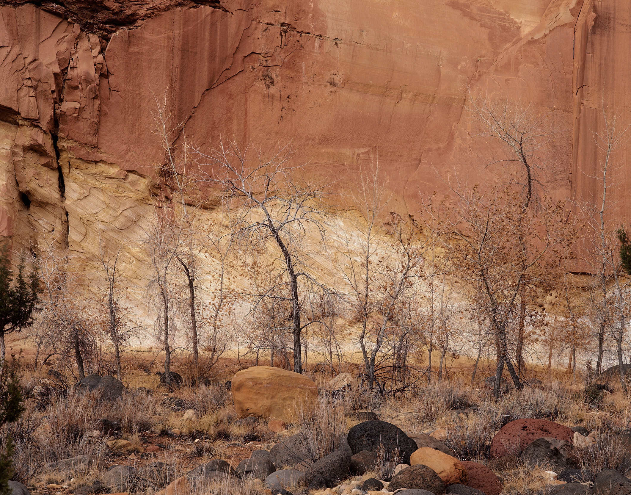 Free download wallpaper Stones, Autumn, Nature, Trees, Wall, Sand, Canyon on your PC desktop