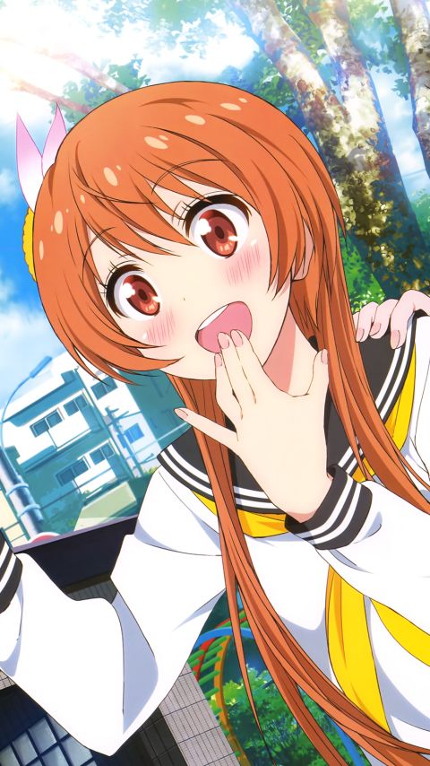 Download mobile wallpaper Anime, Chitoge Kirisaki, Marika Tachibana, Nisekoi, Haru Onodera for free.