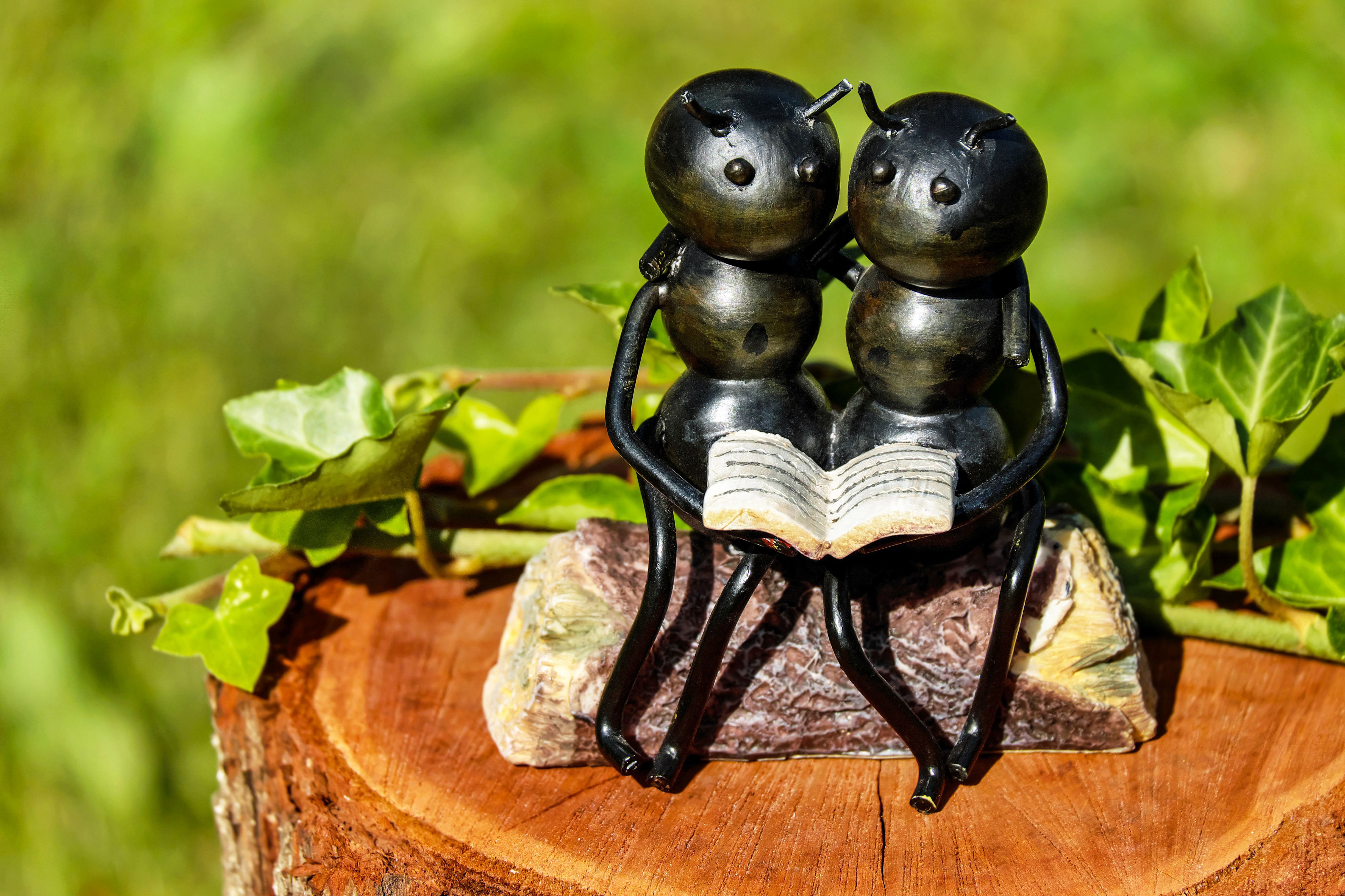 insects, miscellanea, miscellaneous, couple, pair, sculpture, book, bench, ants