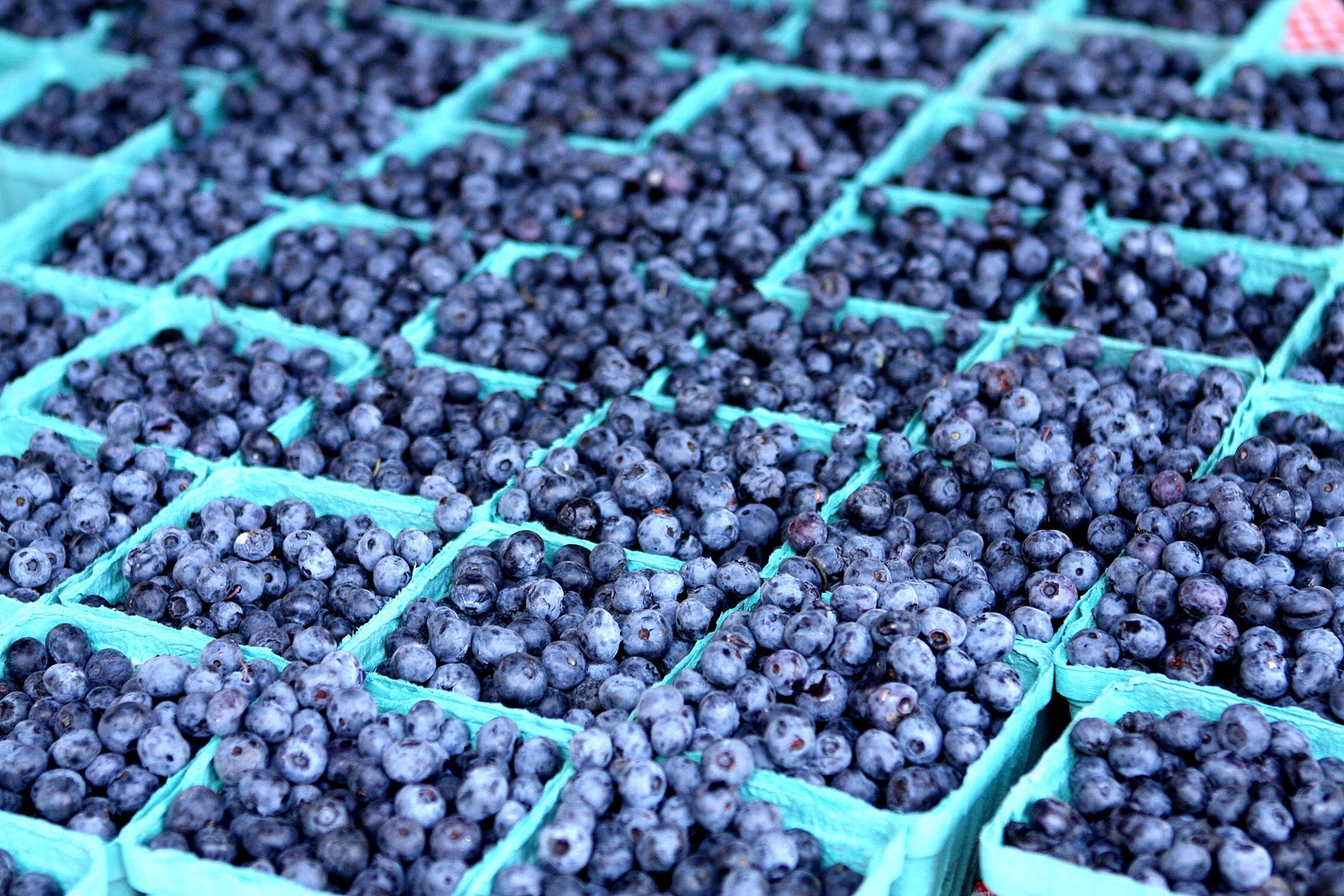 Download mobile wallpaper Food, Blueberry for free.