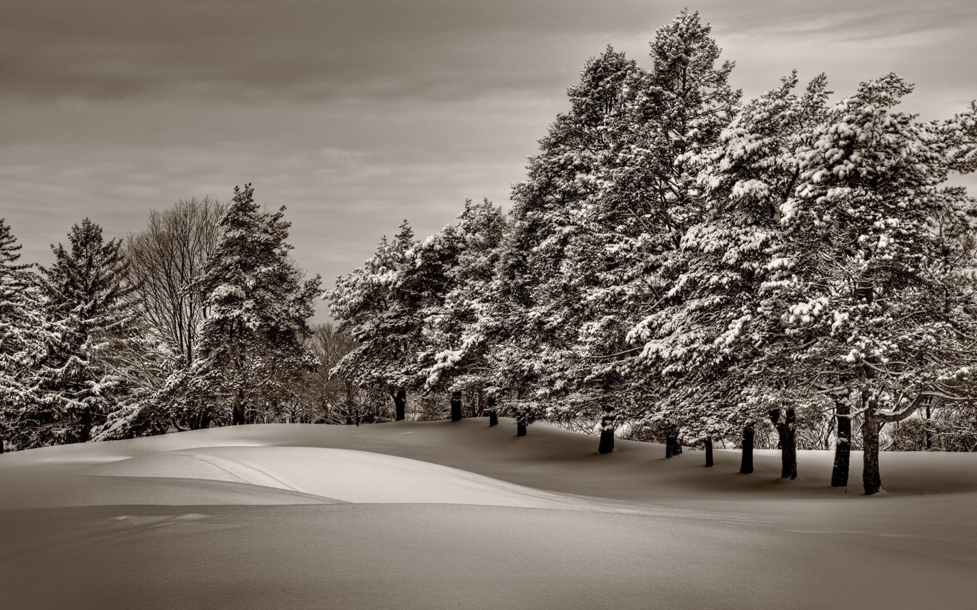 Handy-Wallpaper Winter, Erde/natur kostenlos herunterladen.