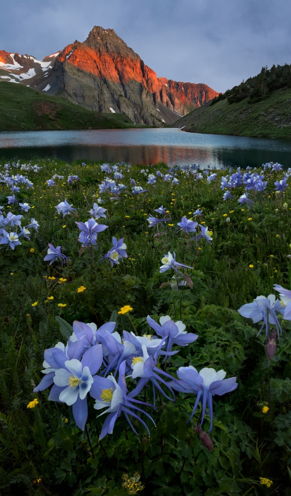 Download mobile wallpaper Nature, Flowers, Mountain, Lake, Flower, Earth, Meadow for free.