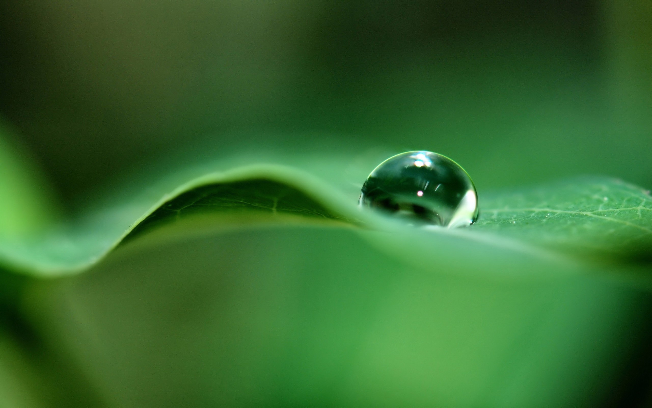 Windows Wallpaper Water Drop 