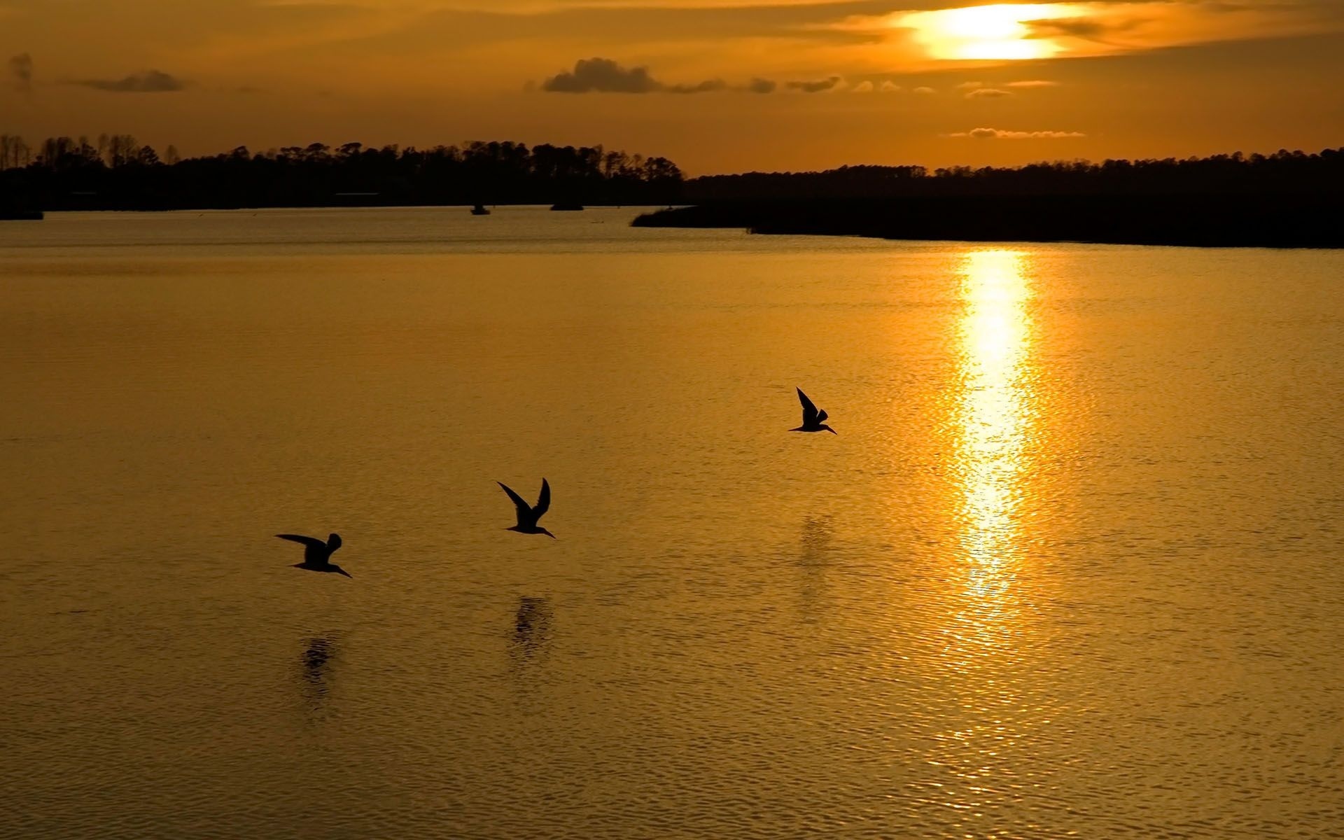 Descarga gratuita de fondo de pantalla para móvil de Atardecer, Tierra/naturaleza.