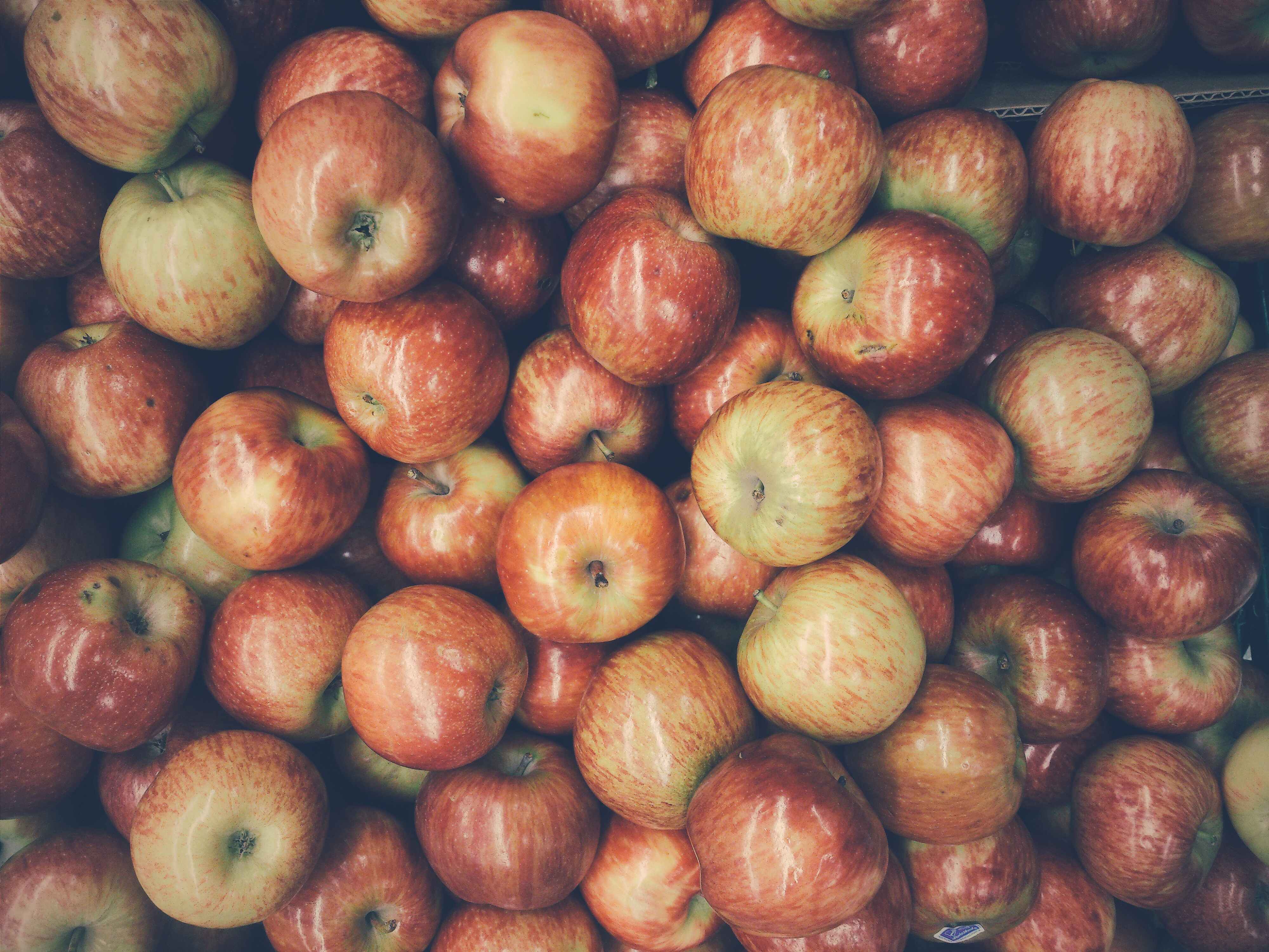 55442 baixar imagens frutas, comida, maçãs, maduro, colheita - papéis de parede e protetores de tela gratuitamente