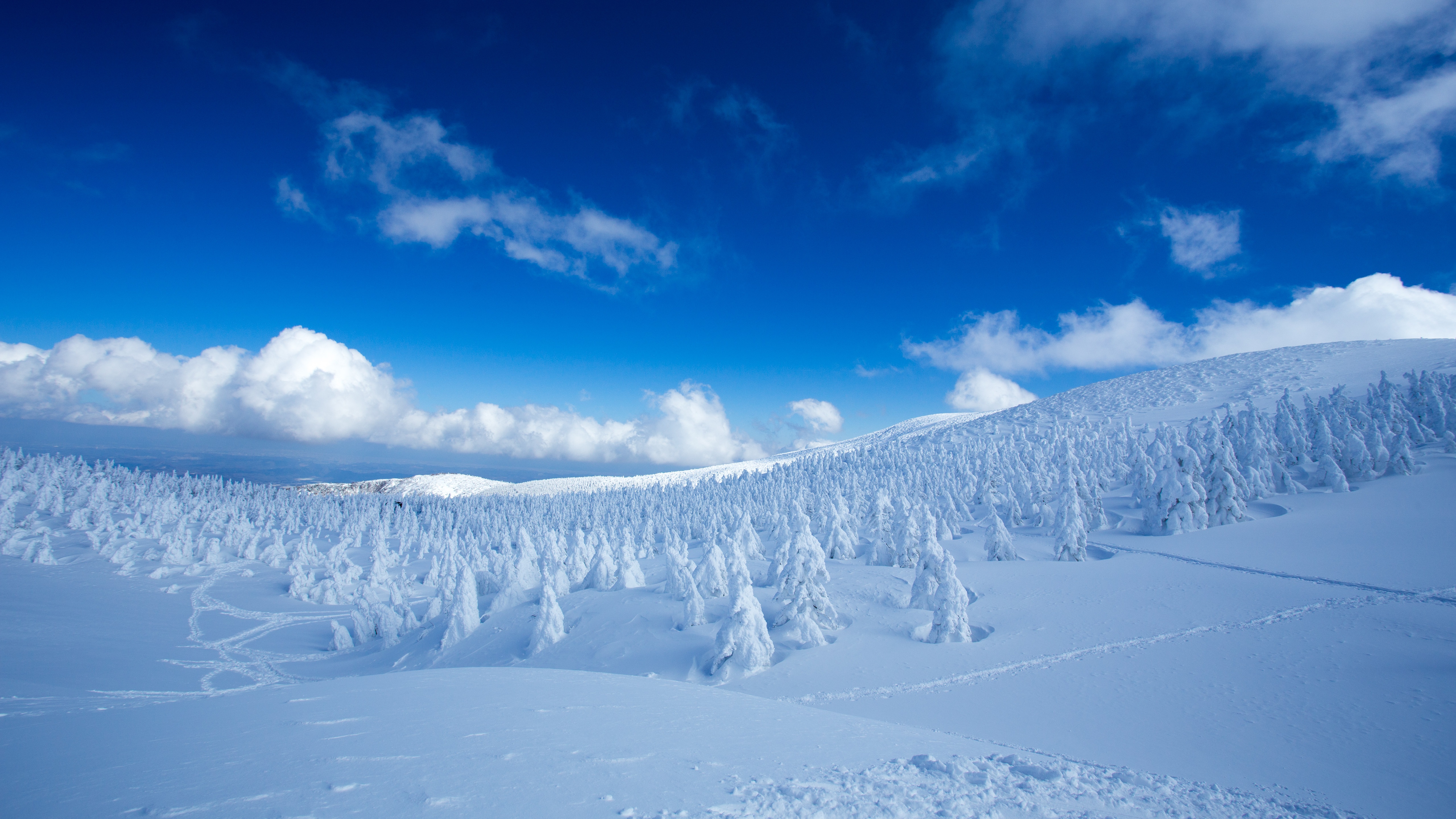 Скачать картинку Зима, Природа, Небо, Облака, Снег, Лес, Ландшафт, Земля/природа в телефон бесплатно.