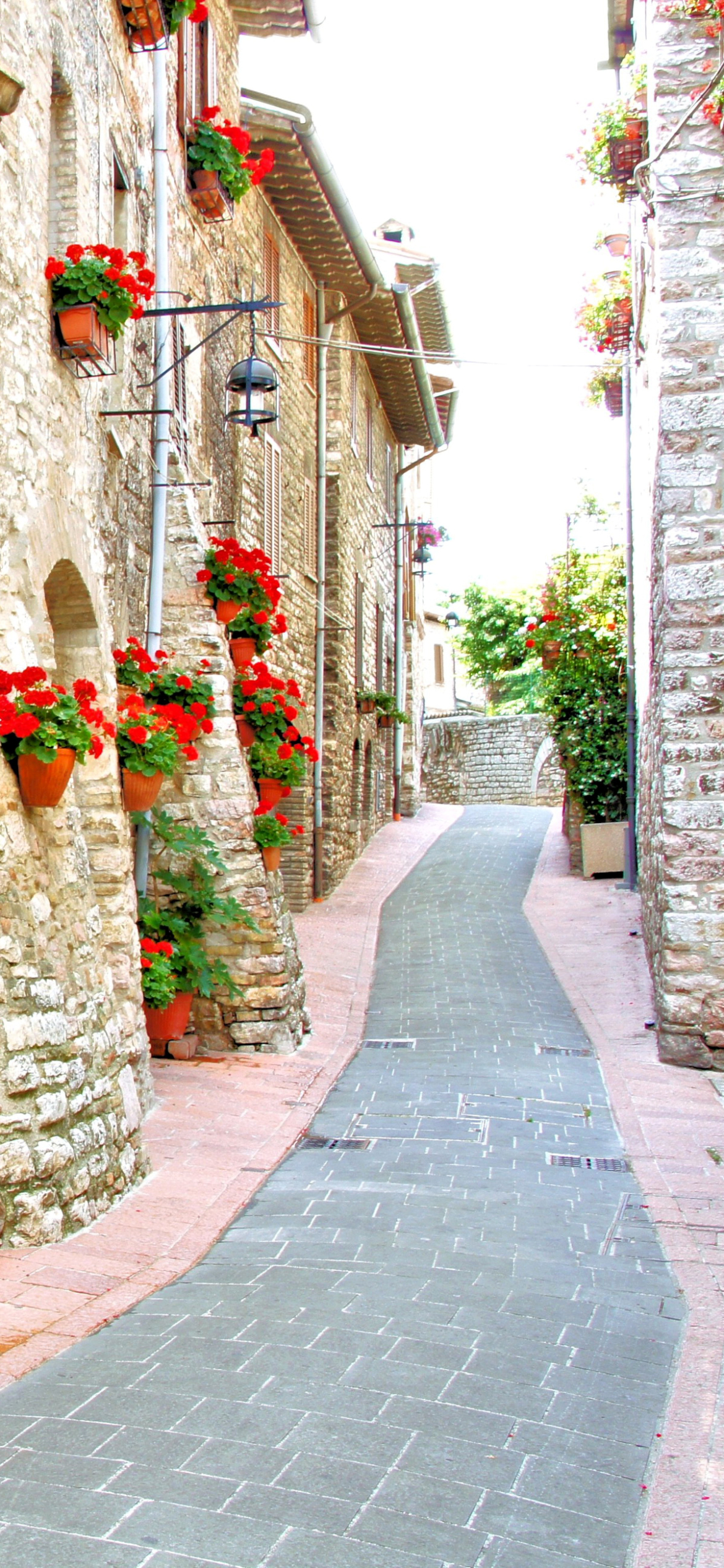 Handy-Wallpaper Italien, Blume, Haus, Rote Blume, Menschengemacht, Innerortsstraße kostenlos herunterladen.
