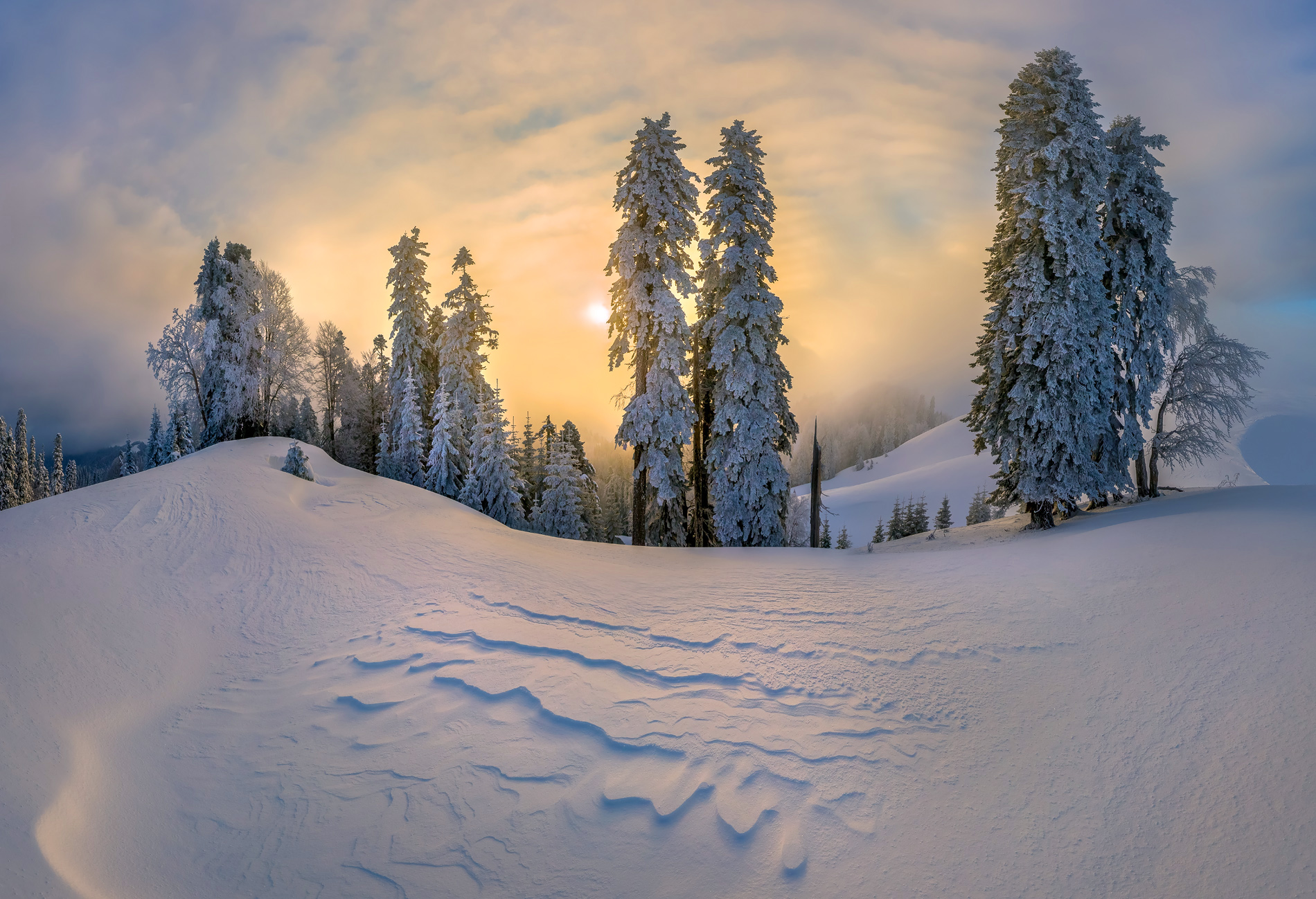 Descarga gratuita de fondo de pantalla para móvil de Invierno, Nieve, Bosque, Árbol, Nube, Atardecer, Tierra/naturaleza.