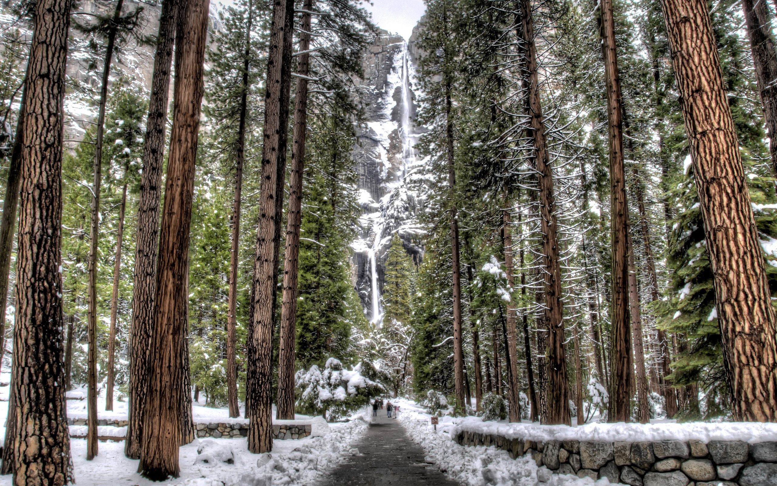 Скачать картинку Деревья, Снег, Скалы, Лес, Водопад, Природа в телефон бесплатно.
