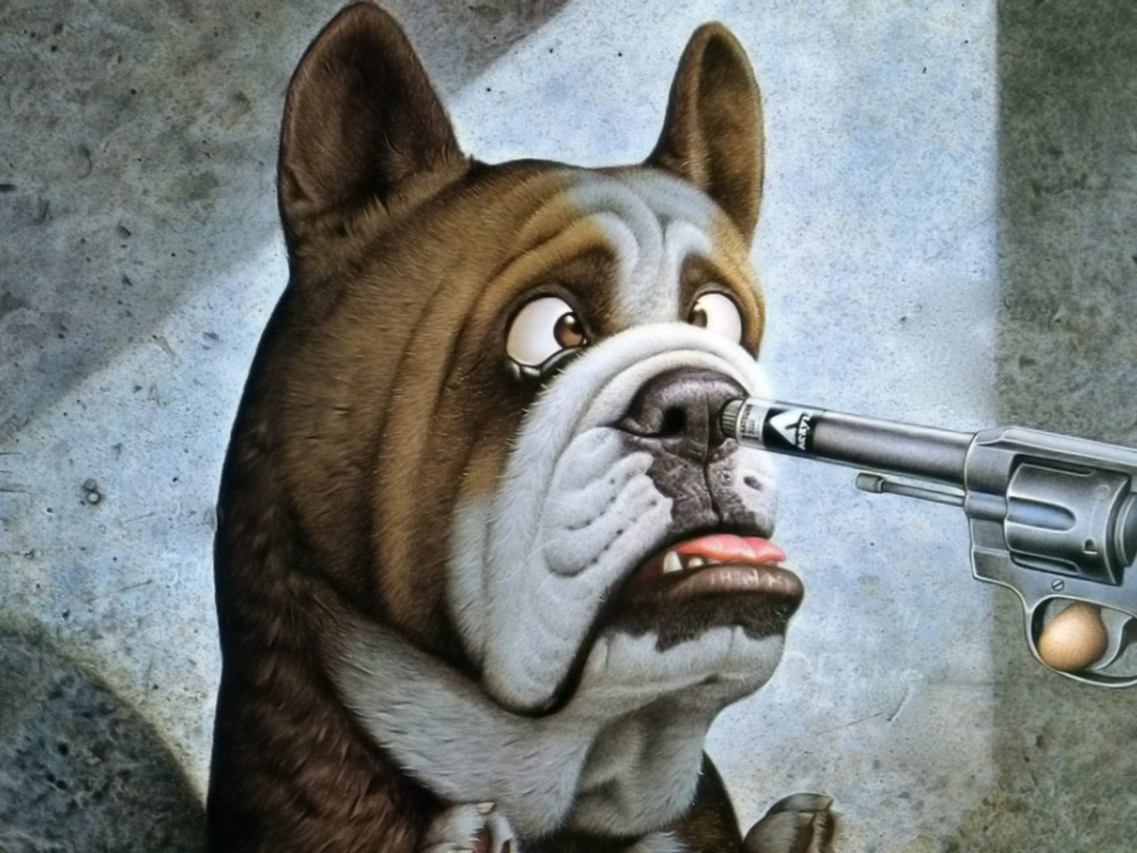 Baixar papel de parede para celular de Cão, Animal, Humor gratuito.