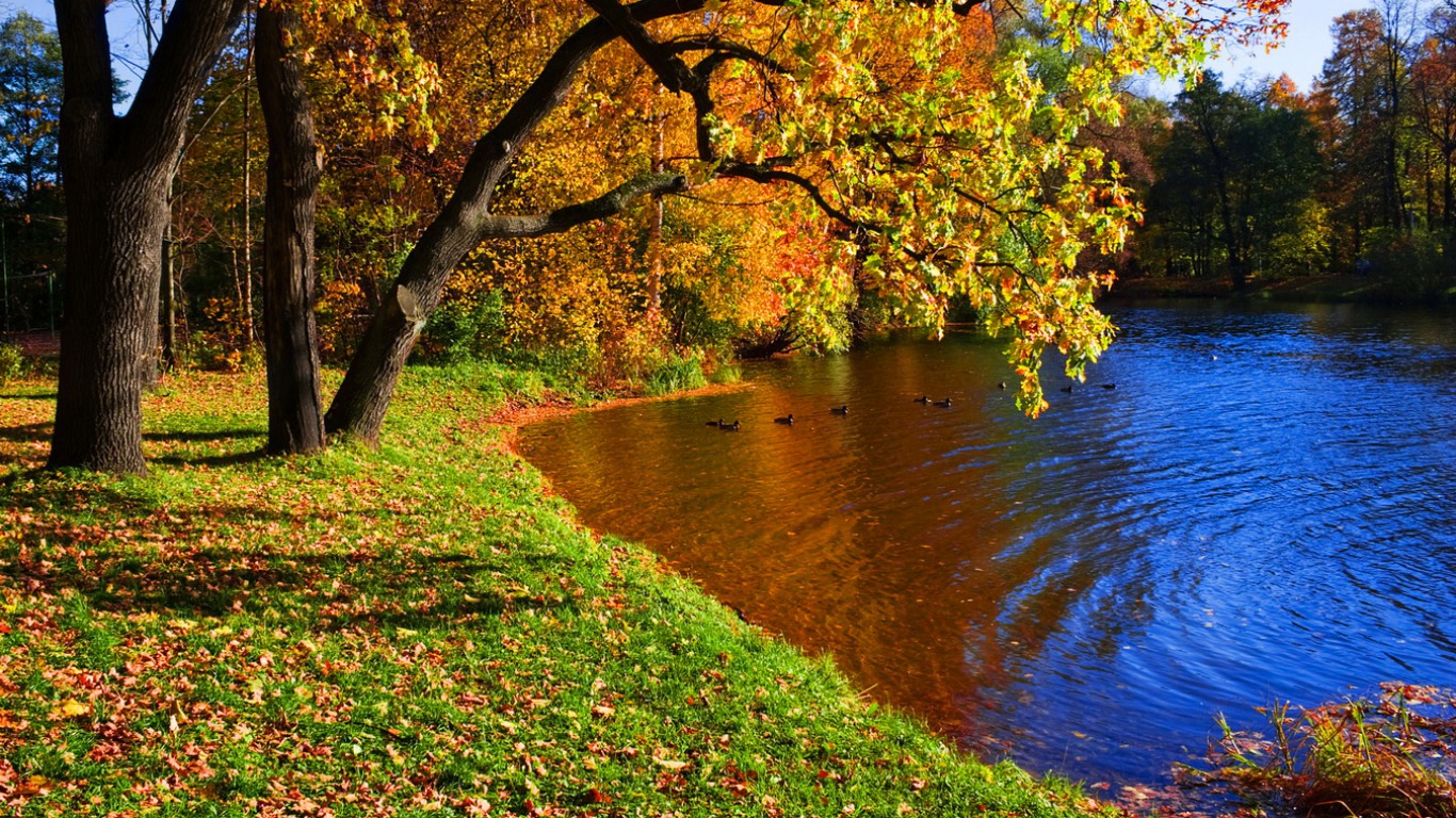 無料モバイル壁紙湖, 秋, 地球をダウンロードします。