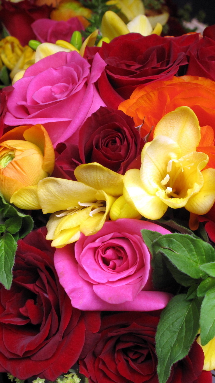 Handy-Wallpaper Blumen, Blume, Rose, Erde, Farben, Bunt, Gelbe Blume, Rote Blume, Erde/natur, Pinke Blume, Orangene Blume kostenlos herunterladen.