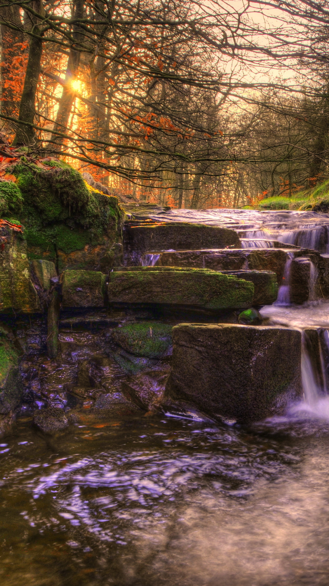 Download mobile wallpaper Waterfalls, Waterfall, Tree, Fall, Earth, Hdr for free.