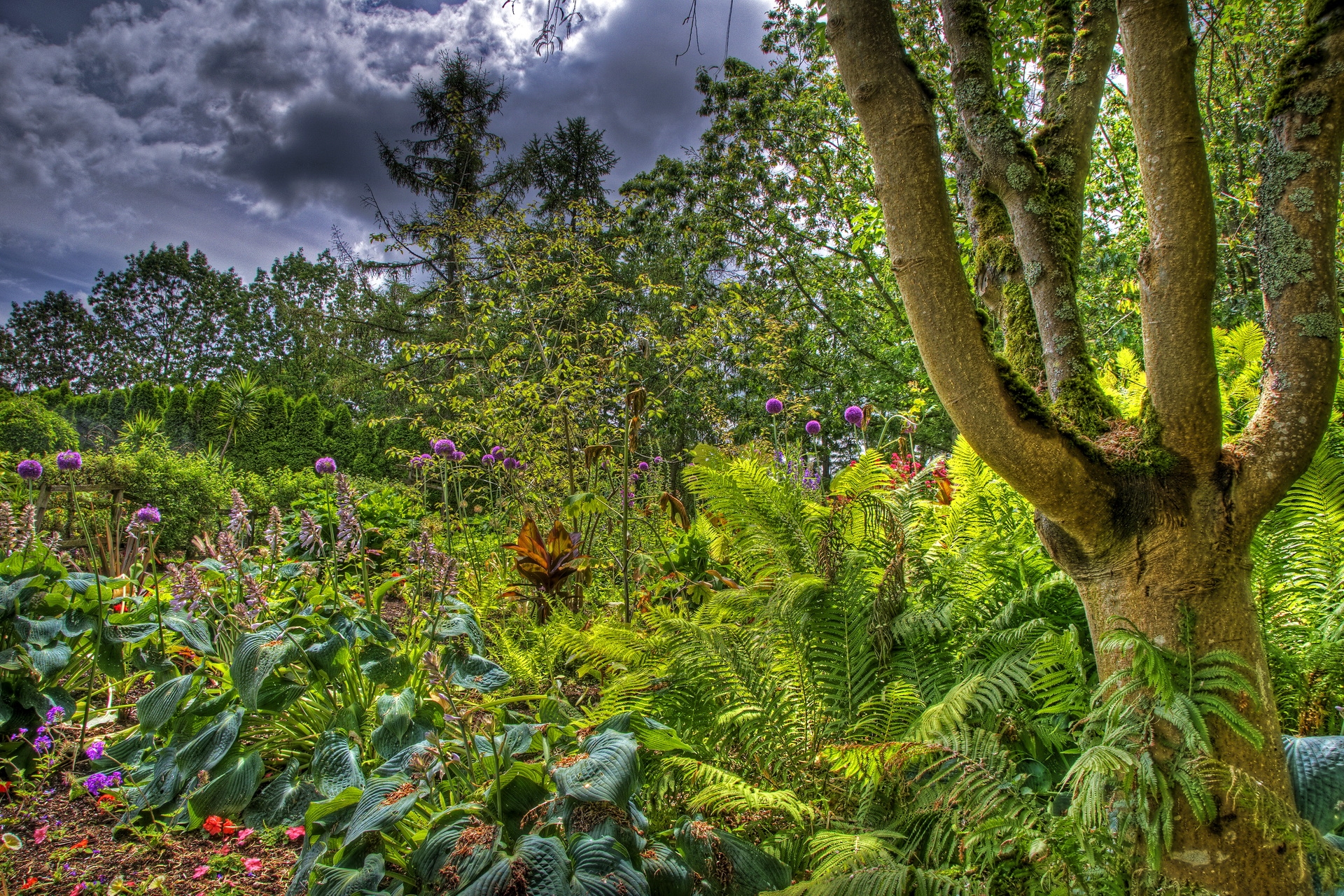 Descarga gratis la imagen Nubes, Verduras, Arbusto, Naturaleza, Árboles, Jardín en el escritorio de tu PC