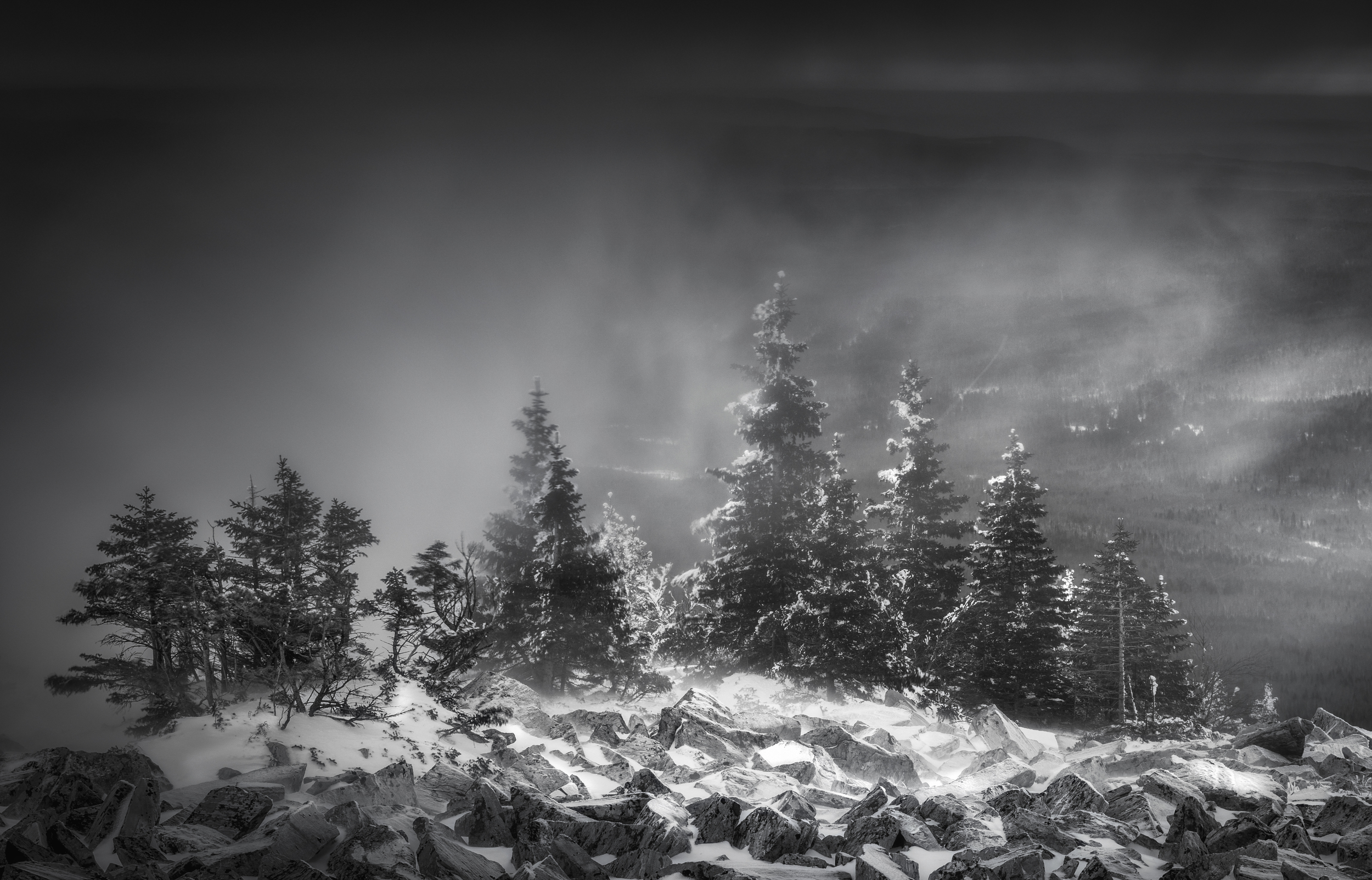Download mobile wallpaper Winter, Snow, Tree, Earth, Monochrome for free.