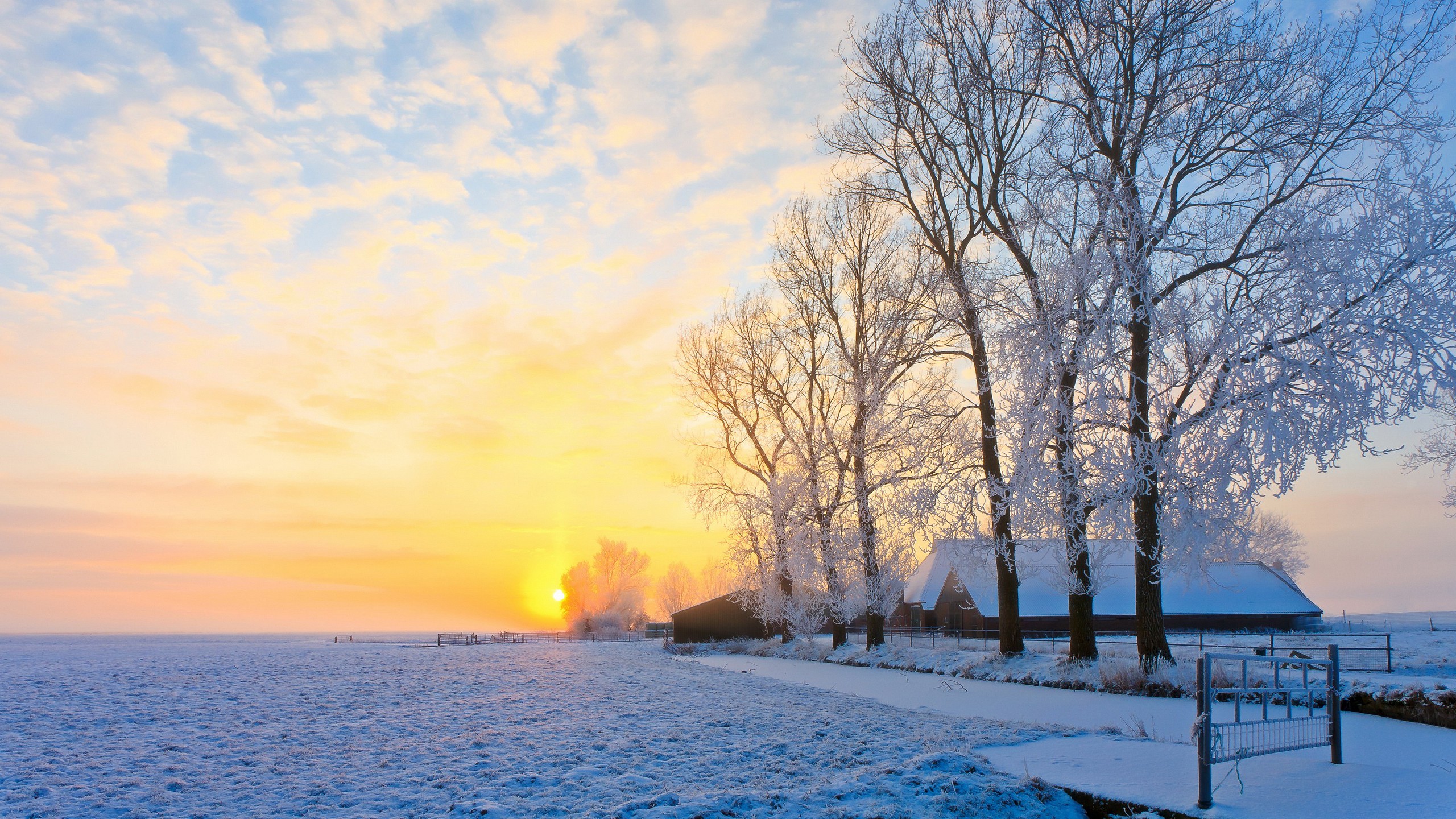 Descarga gratis la imagen Invierno, Nieve, Horizonte, Árbol, Tierra, Campo, Fotografía, Atardecer en el escritorio de tu PC