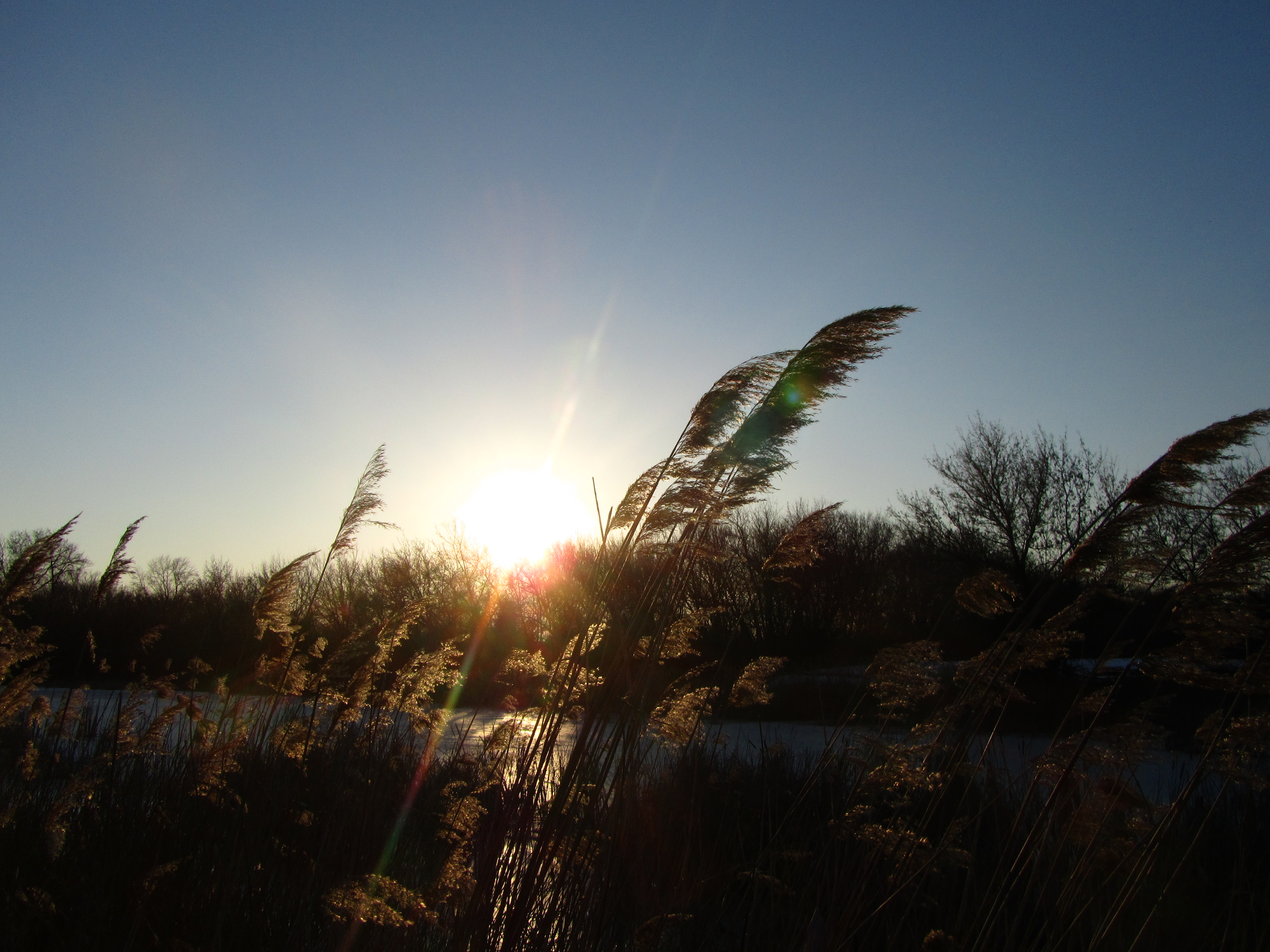 Descarga gratuita de fondo de pantalla para móvil de Rayo De Sol, Tierra/naturaleza.