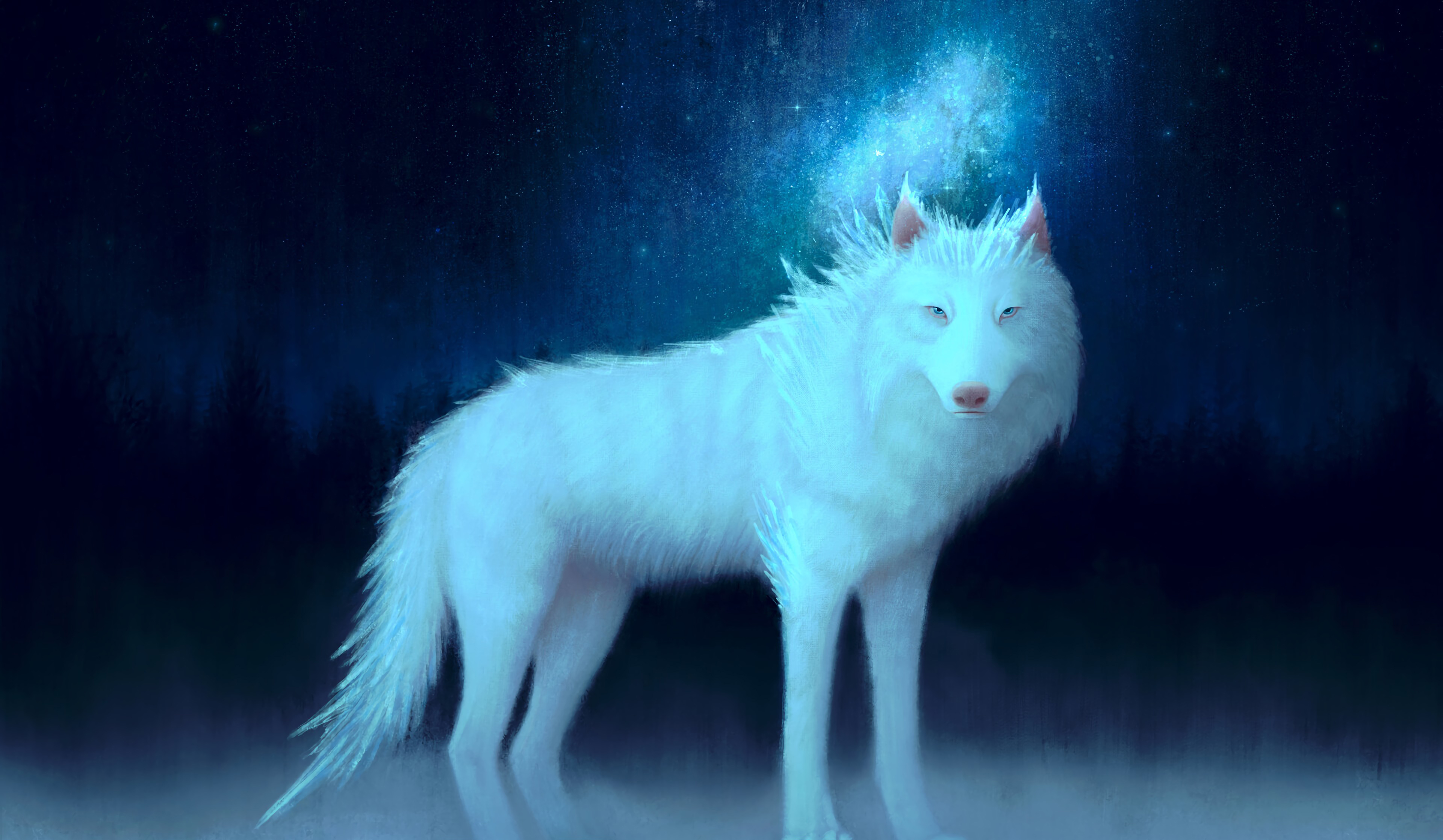 Téléchargez des papiers peints mobile Animal, Loup, Art gratuitement.