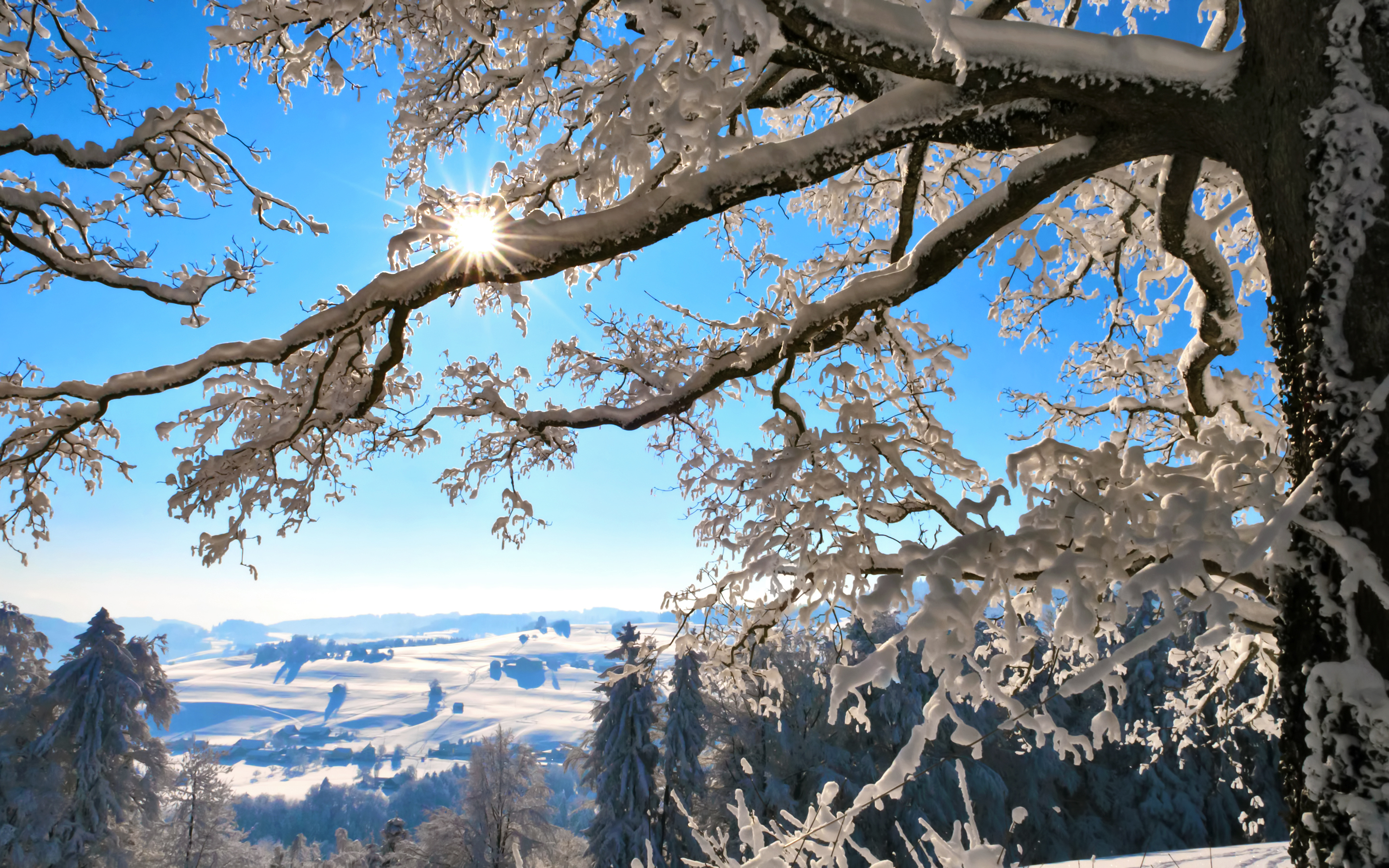Скачать обои бесплатно Зима, Солнце, Снег, Дерево, Ветка, Солнечный Свет, Земля/природа картинка на рабочий стол ПК