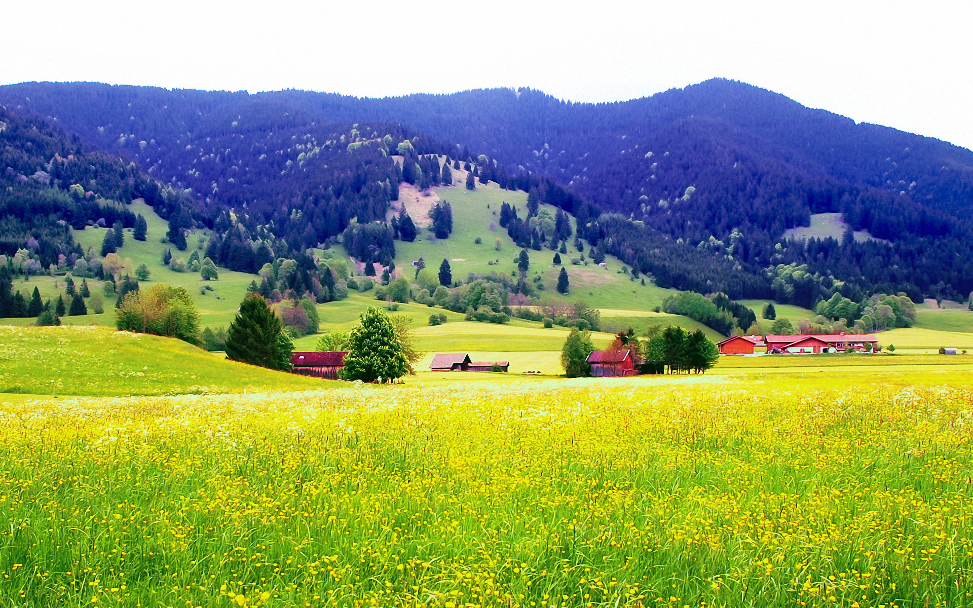 Descarga gratuita de fondo de pantalla para móvil de Paisaje, Fotografía.