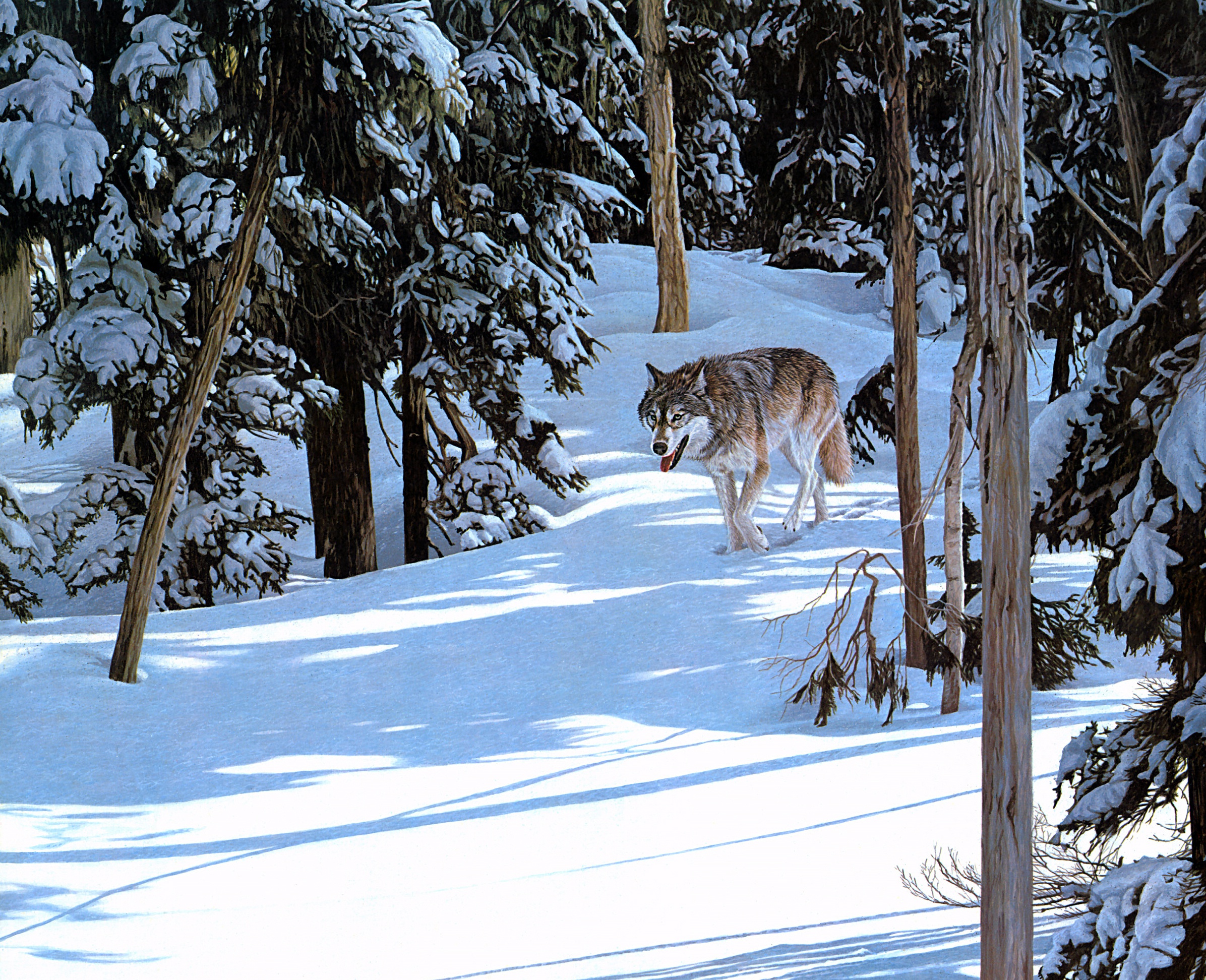 Download mobile wallpaper Winter, Forest, Wolf, Animal, Wolves for free.