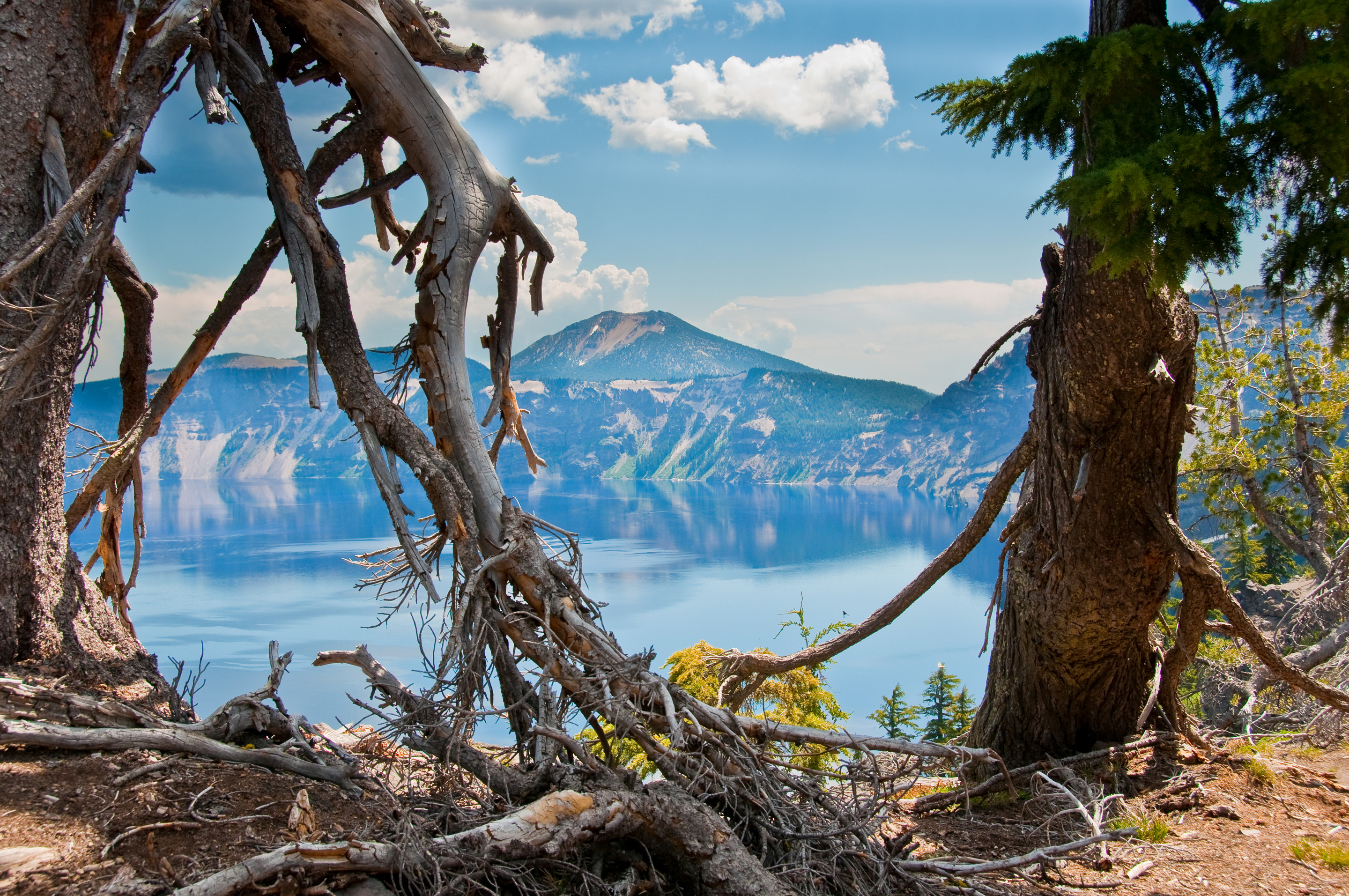 Скачать картинку Орегон, Природа, Деревья, Горы, Сша в телефон бесплатно.