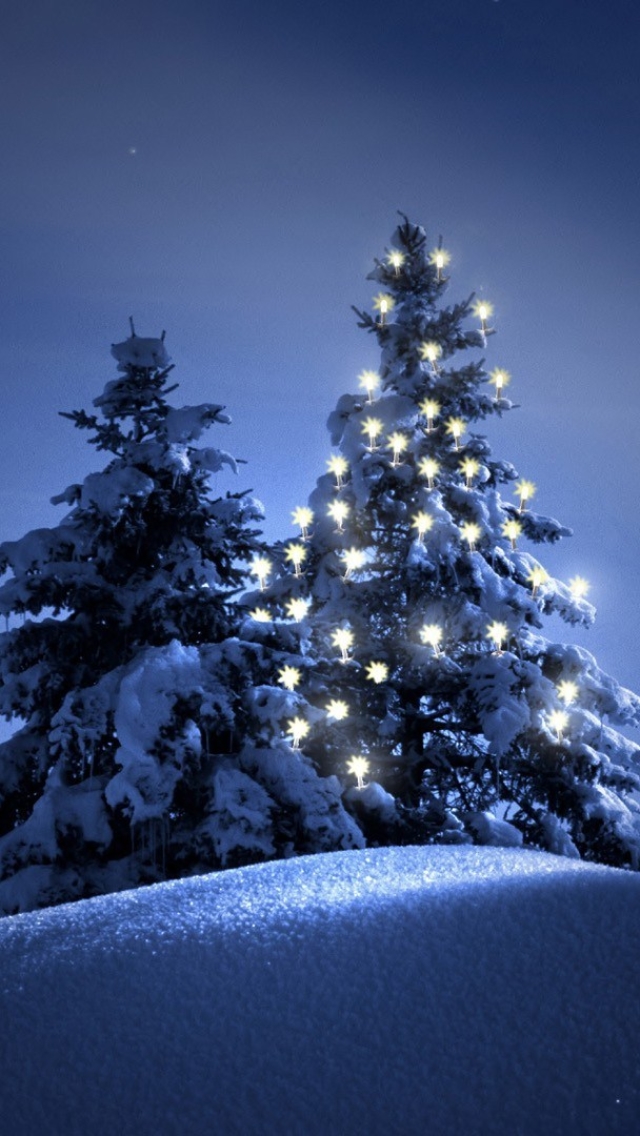 Descarga gratuita de fondo de pantalla para móvil de Invierno, Nieve, Navidad, Día Festivo, Árbol De Navidad.
