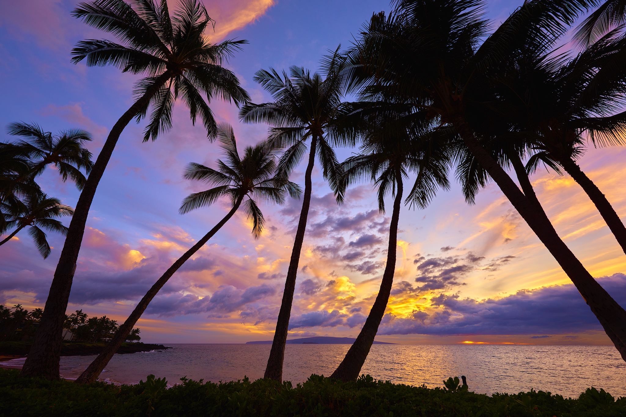 Free download wallpaper Sunset, Sea, Horizon, Silhouette, Tree, Ocean, Earth, Tropical, Palm Tree on your PC desktop