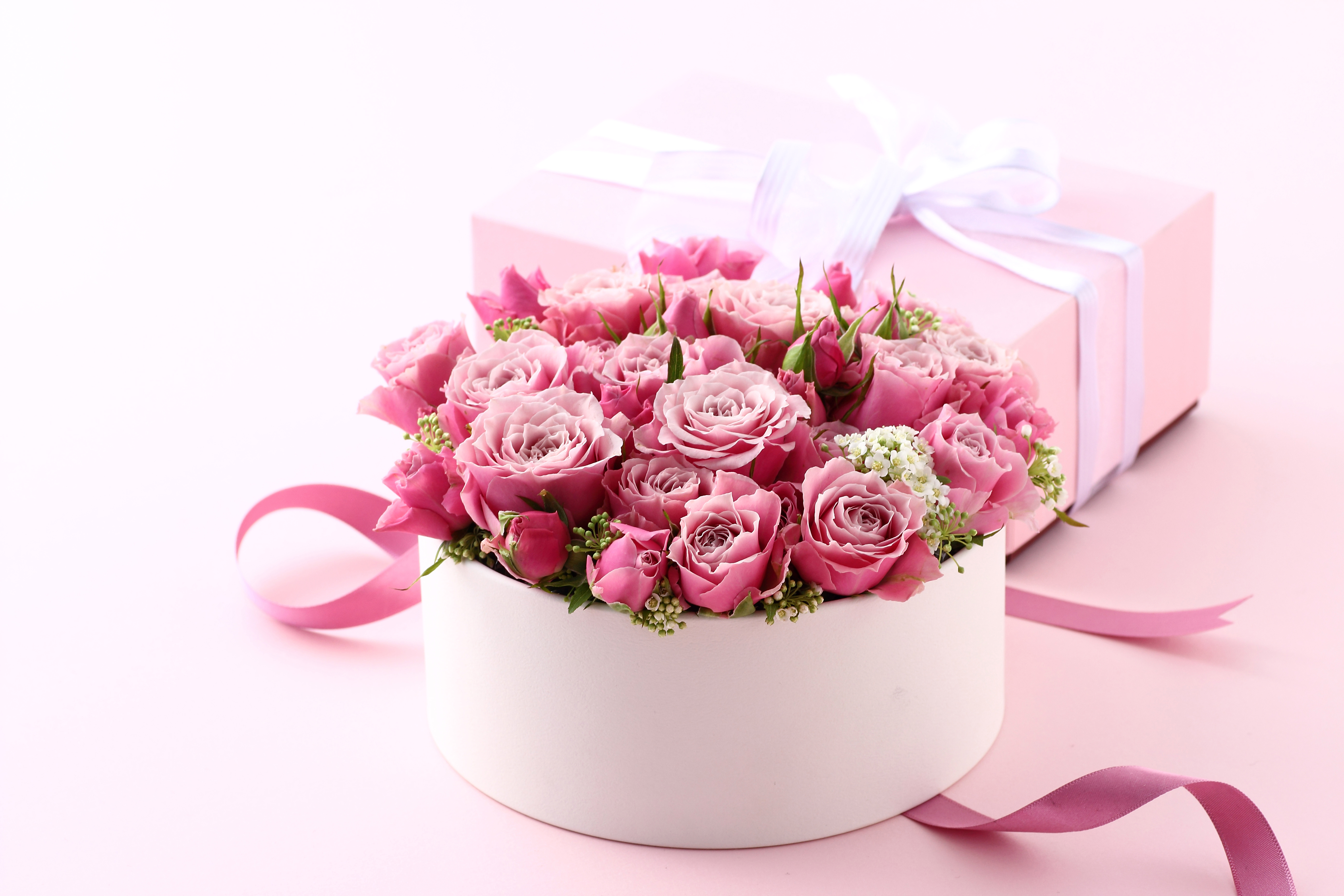 779341 завантажити картинку рожевий, свято, день святого валентина, коробка, подарунок, рожева квітка, стрічка, роза - шпалери і заставки безкоштовно