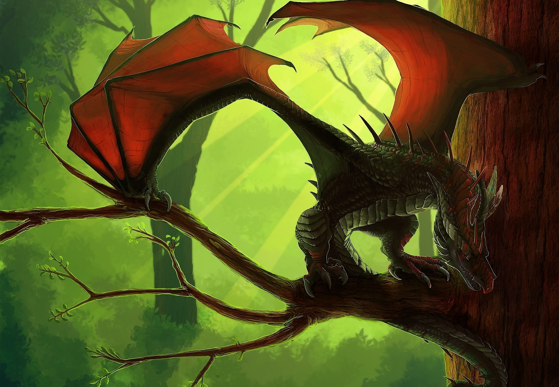 Download mobile wallpaper Fantasy, Dragon for free.