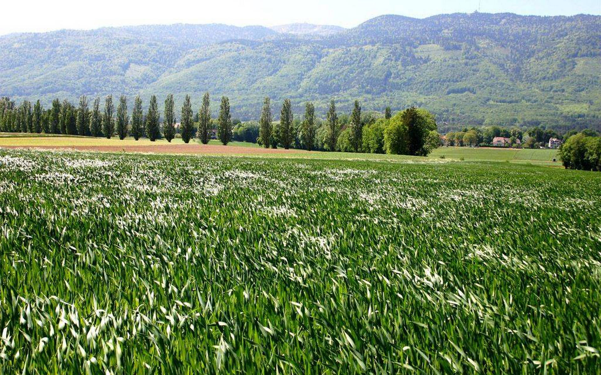 Laden Sie das Landschaft, Erde/natur-Bild kostenlos auf Ihren PC-Desktop herunter