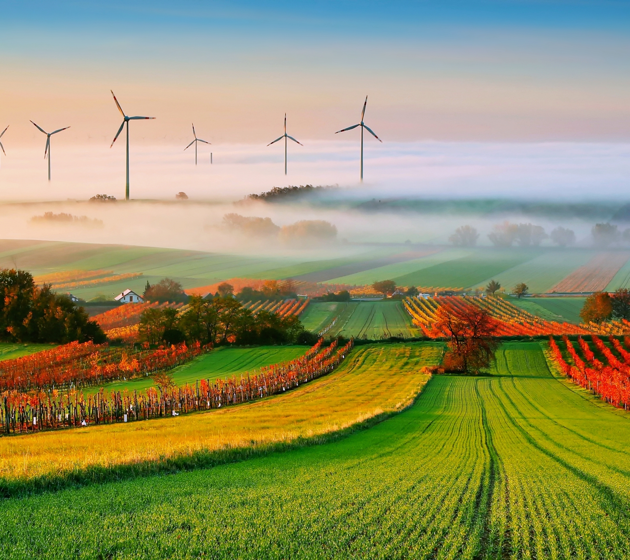 Download mobile wallpaper Landscape, Nature, Fog, Field, Wind Turbine, Man Made for free.