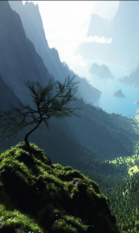 Скачать картинку Пейзаж, Природа, Фэнтези, Гора, Дерево в телефон бесплатно.