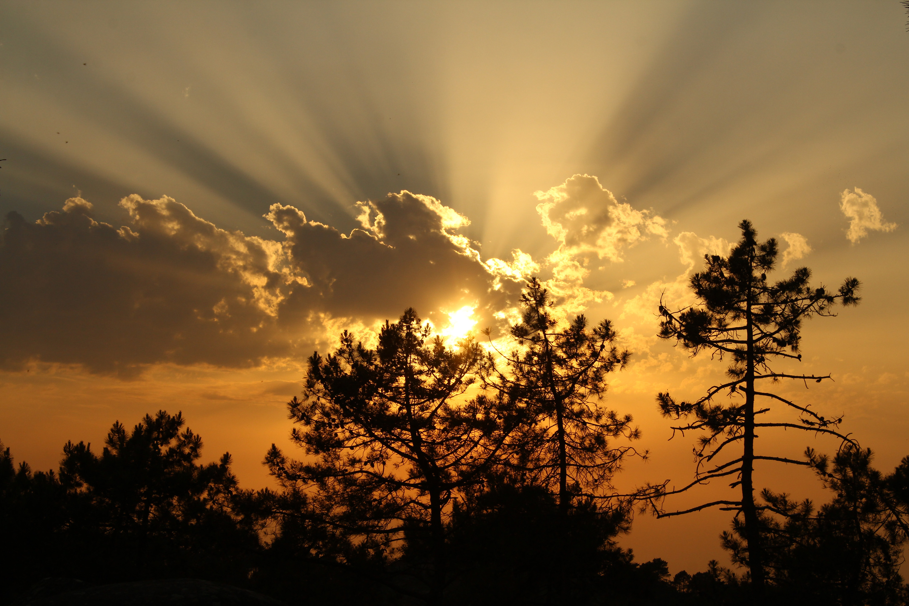 Laden Sie das Natur, Bäume, Sun, Balken, Strahlen, Sunset, Clouds-Bild kostenlos auf Ihren PC-Desktop herunter
