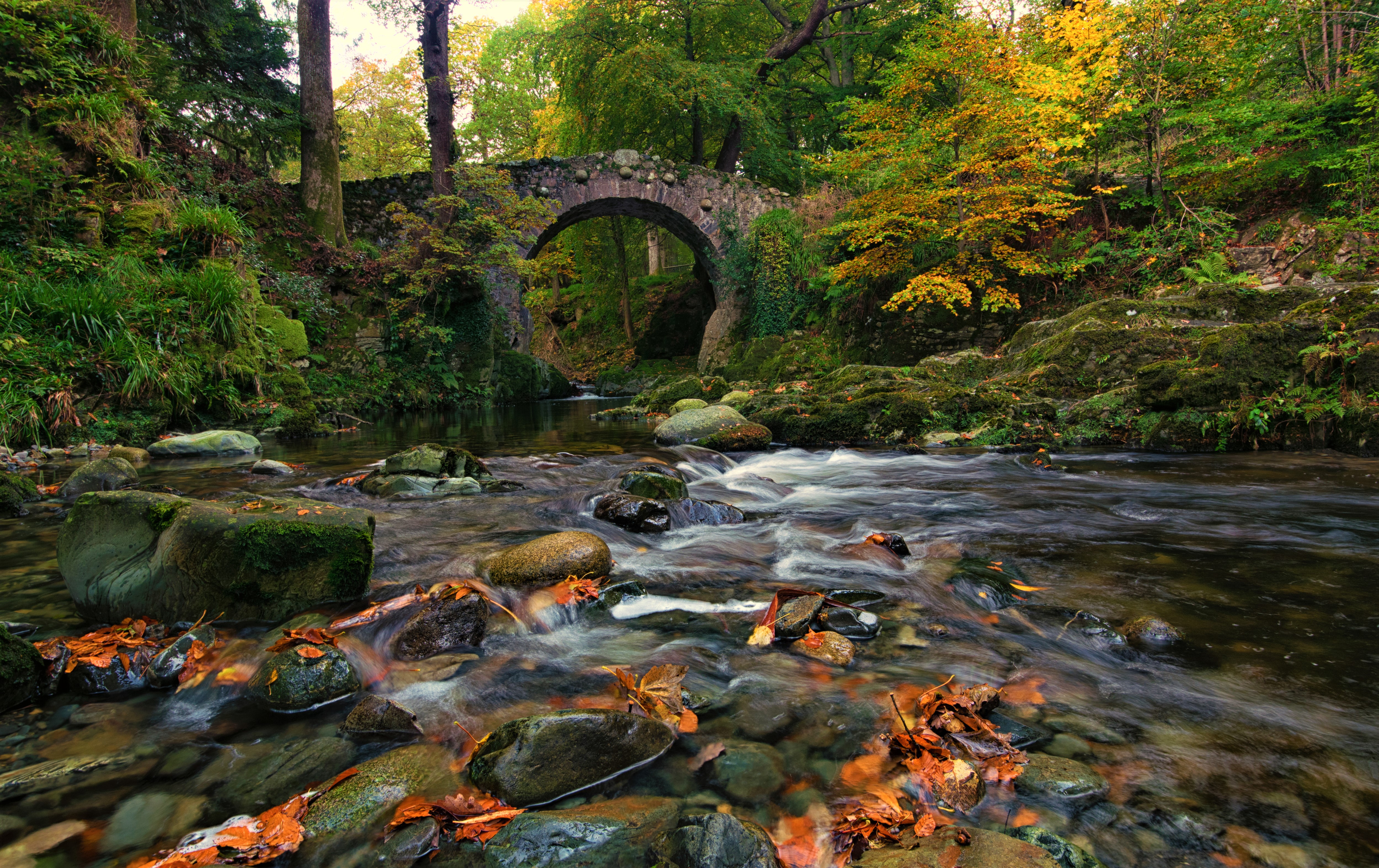 Скачать картинку Река, Осень, Лес, Мост, Земля/природа в телефон бесплатно.