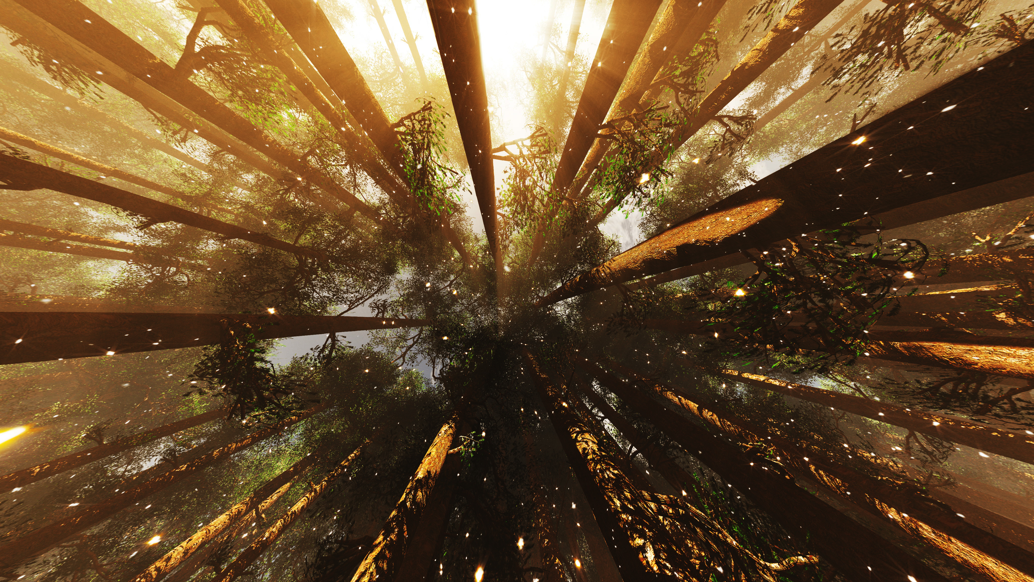 Free download wallpaper Forest, Earth, Canopy on your PC desktop
