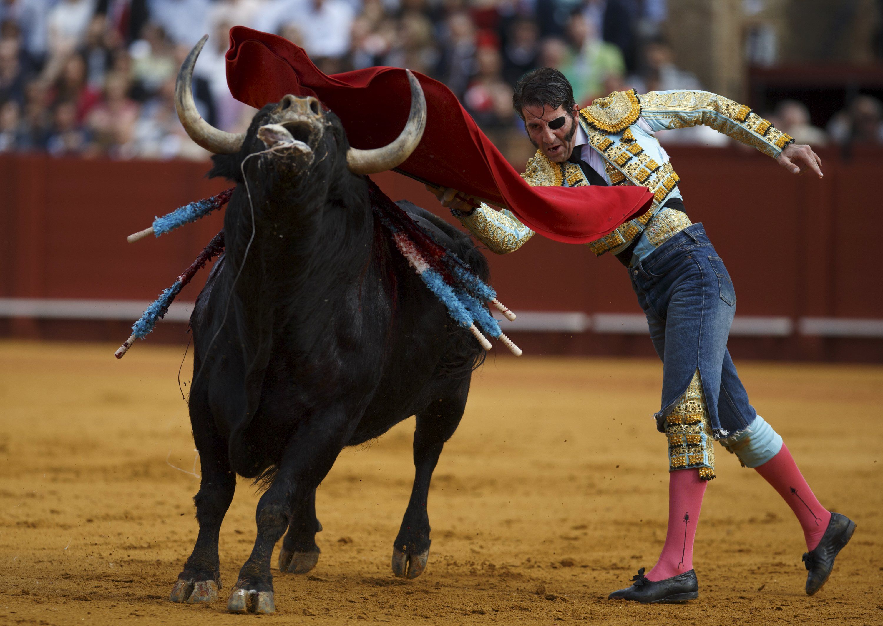 sports, bullfighting