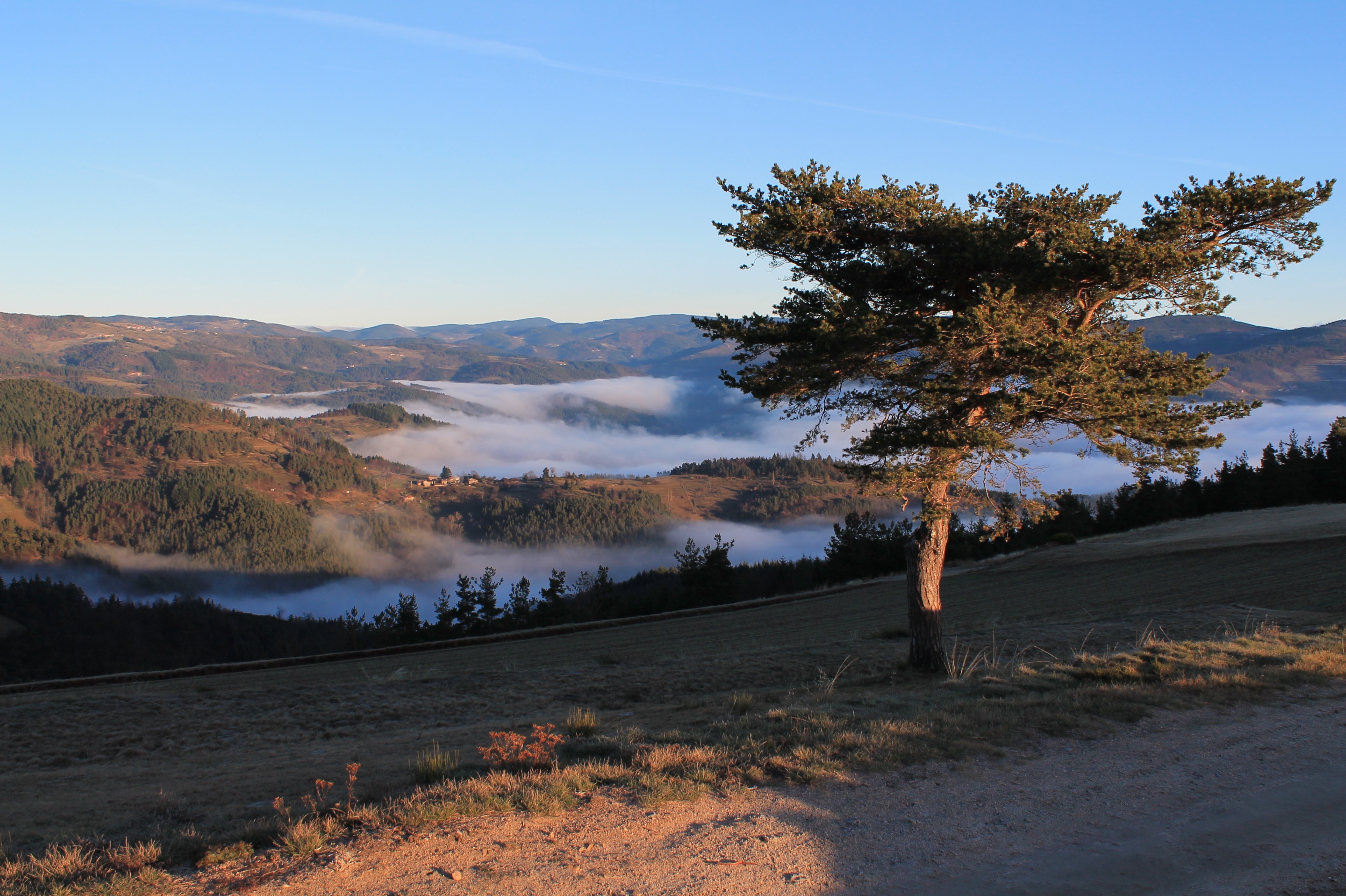 Laden Sie das Die Hügel, Hügel, Bäume, Nebel, Natur, Mountains-Bild kostenlos auf Ihren PC-Desktop herunter
