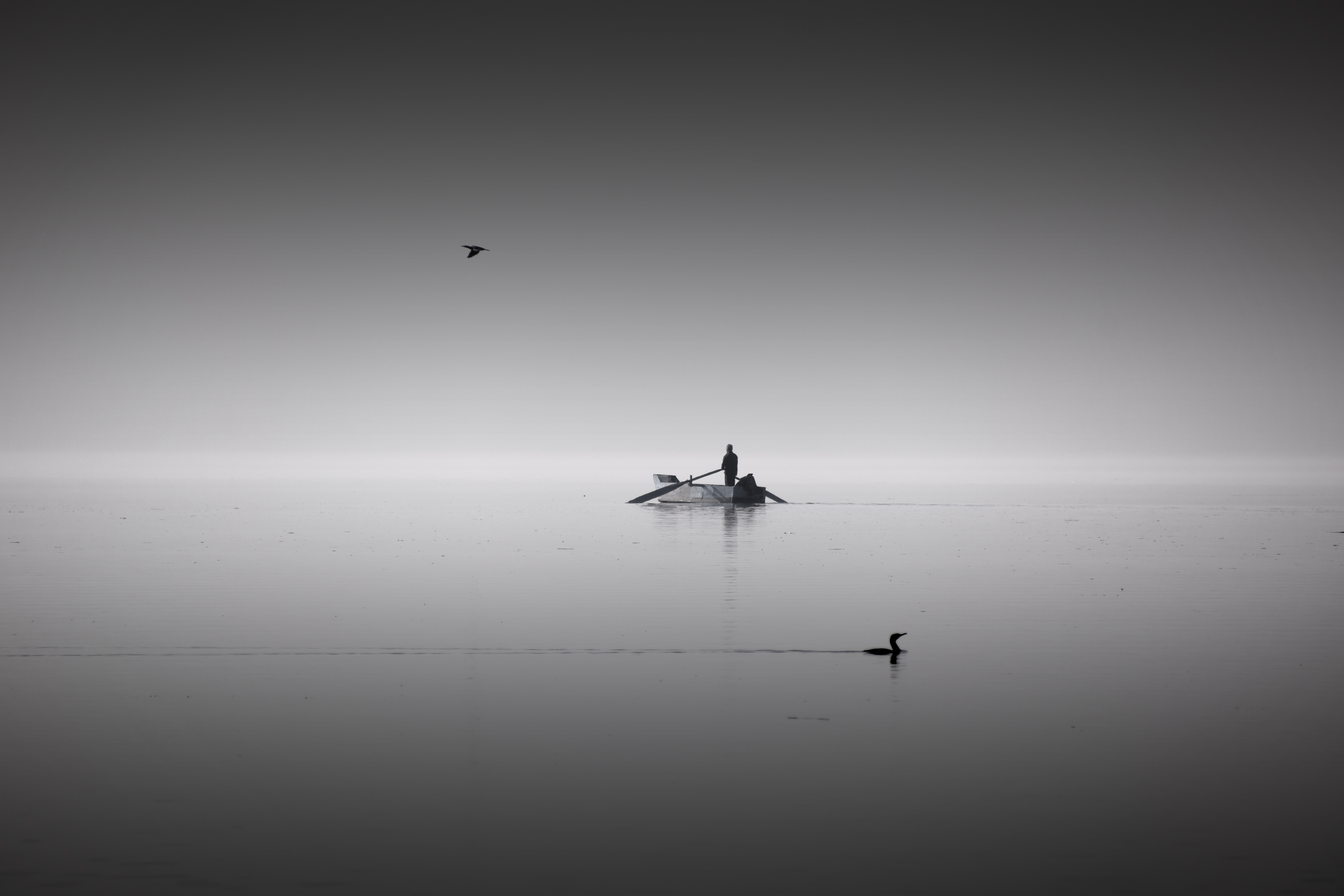 boat, silence, calm, minimalism, birds, horizon, lake, bw, chb, human, person