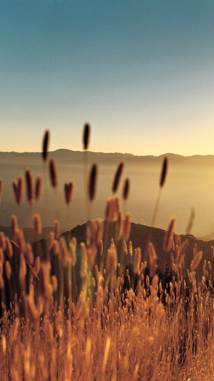 Handy-Wallpaper Landschaft, Erde/natur kostenlos herunterladen.