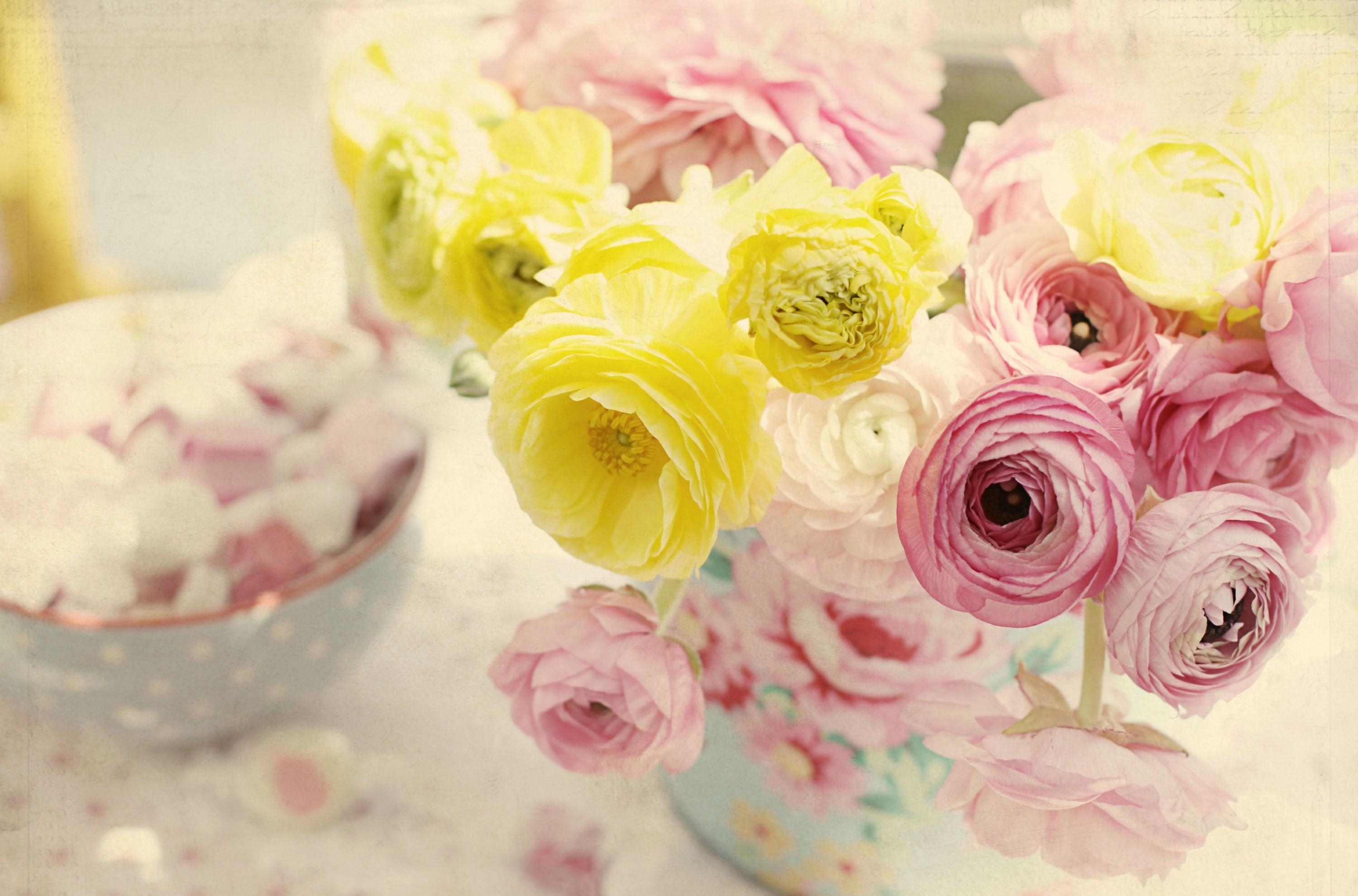 tenderness, flowers, vase, ranunculus, ranunkulus