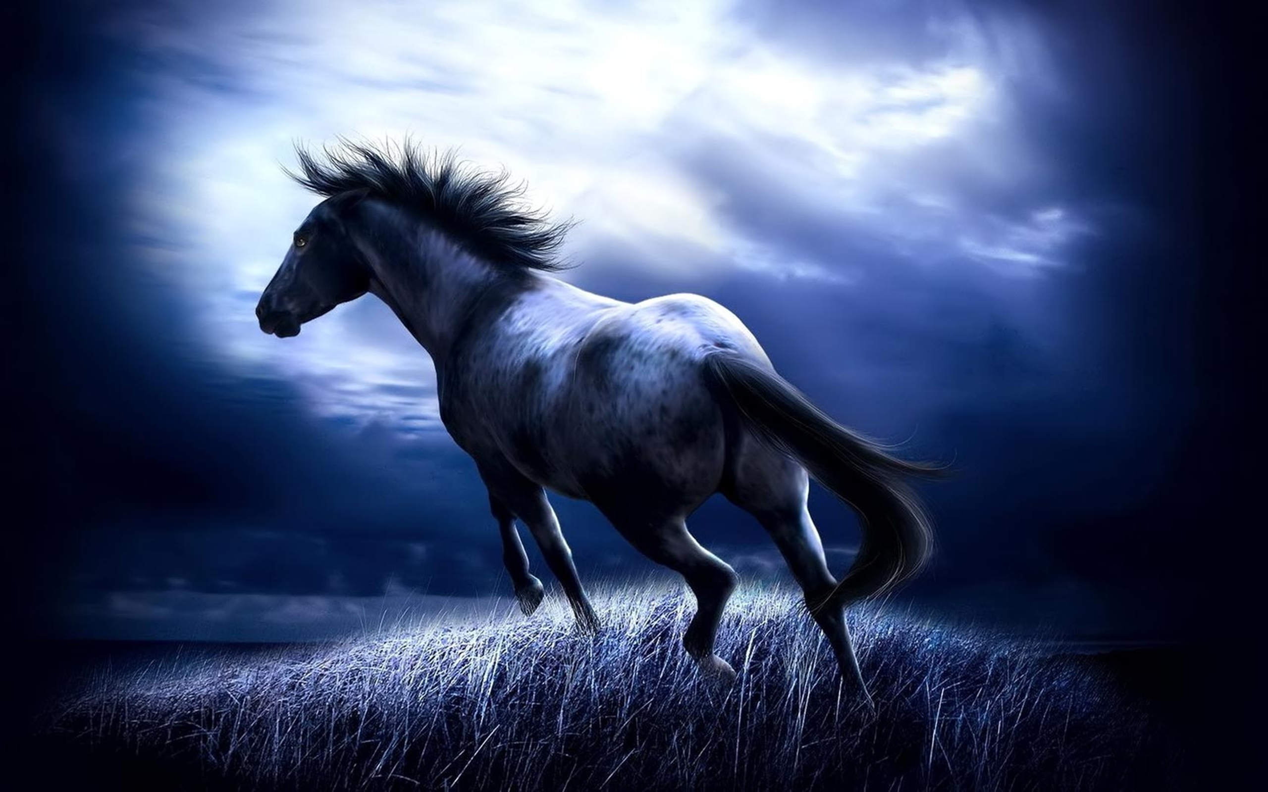 Download mobile wallpaper Horse, Cgi, Fantasy for free.