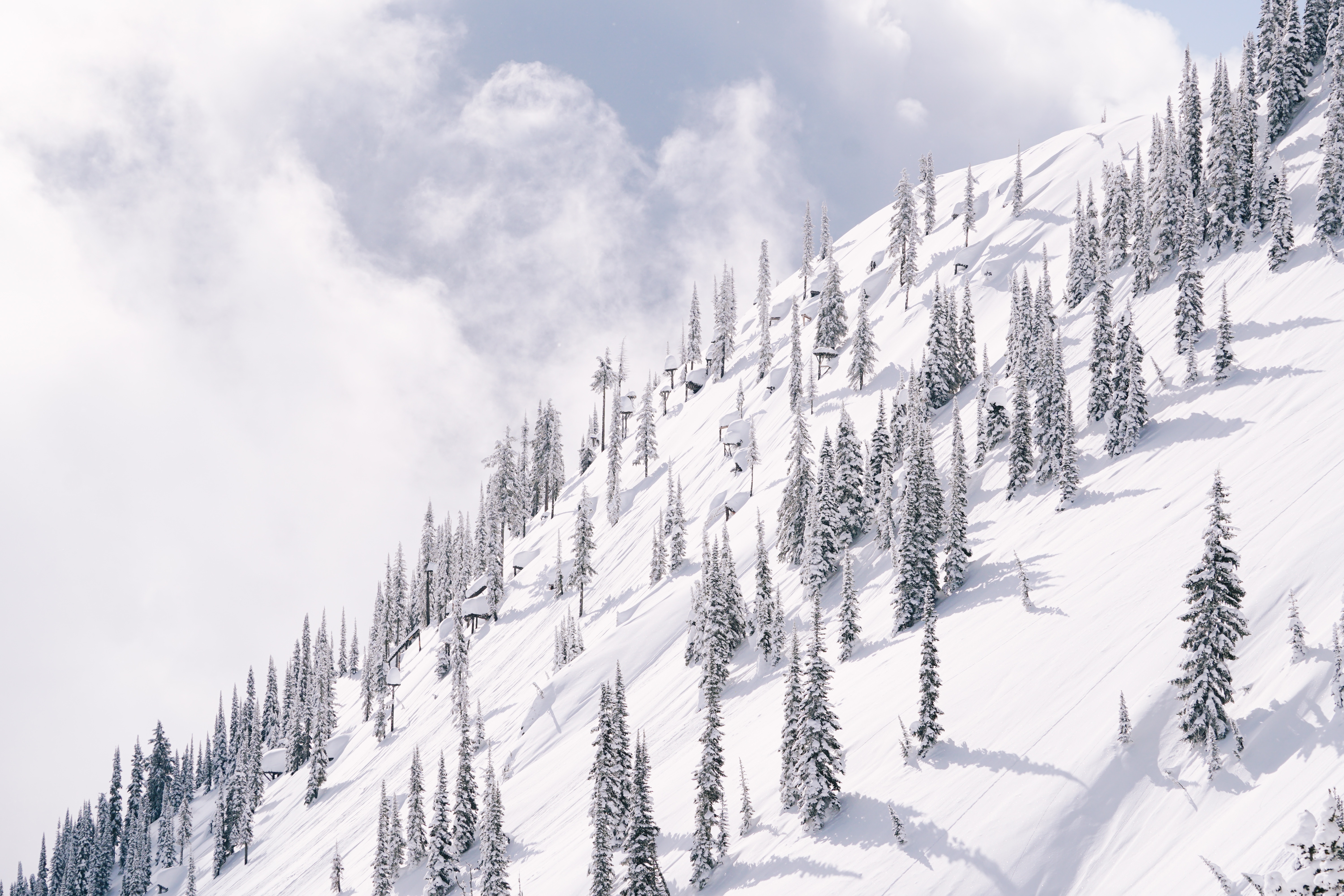 Скачать обои бесплатно Склон, Гора, Деревья, Природа, Снег, Зима картинка на рабочий стол ПК