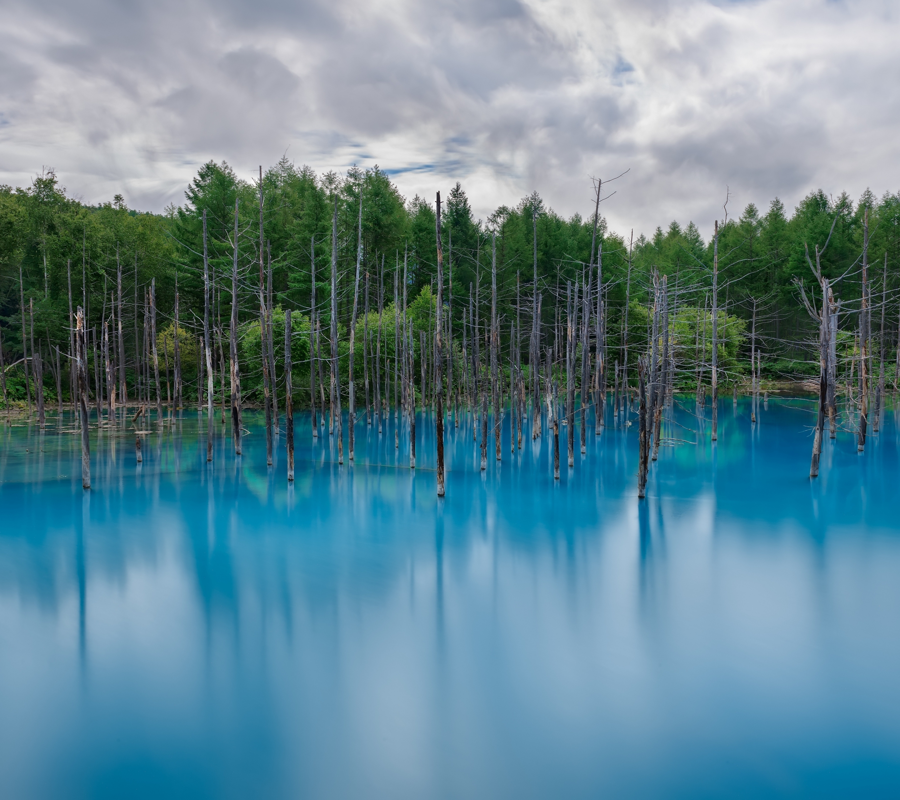 Téléchargez des papiers peints mobile Lac, Forêt, Des Lacs, Terre/nature gratuitement.