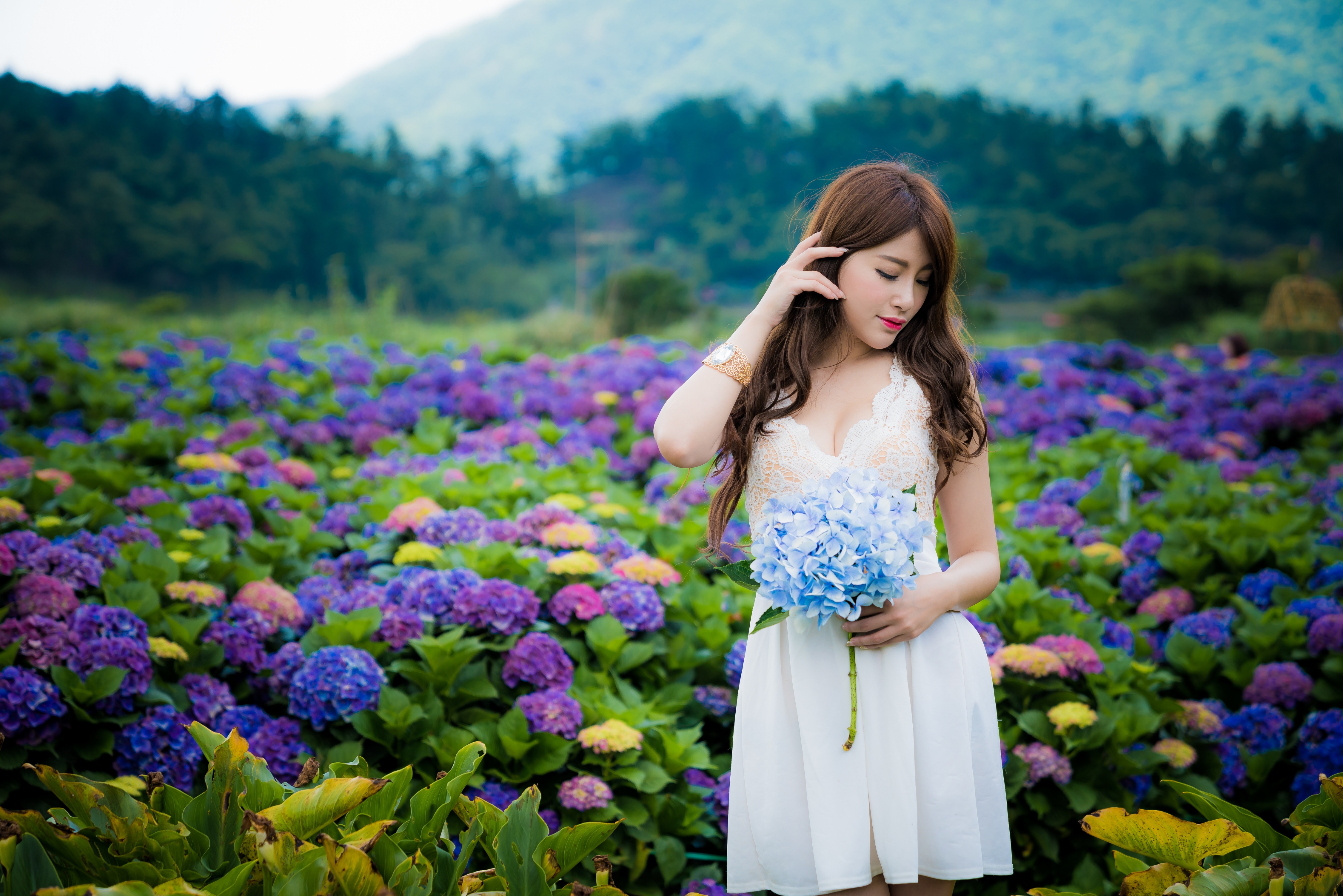 902131 baixar imagens mulheres, asiática, flor azul, cabelo castanho, profundidade de campo, flor, hortênsia, batom, modelo, ânimo, flor roxa, vestido branco - papéis de parede e protetores de tela gratuitamente