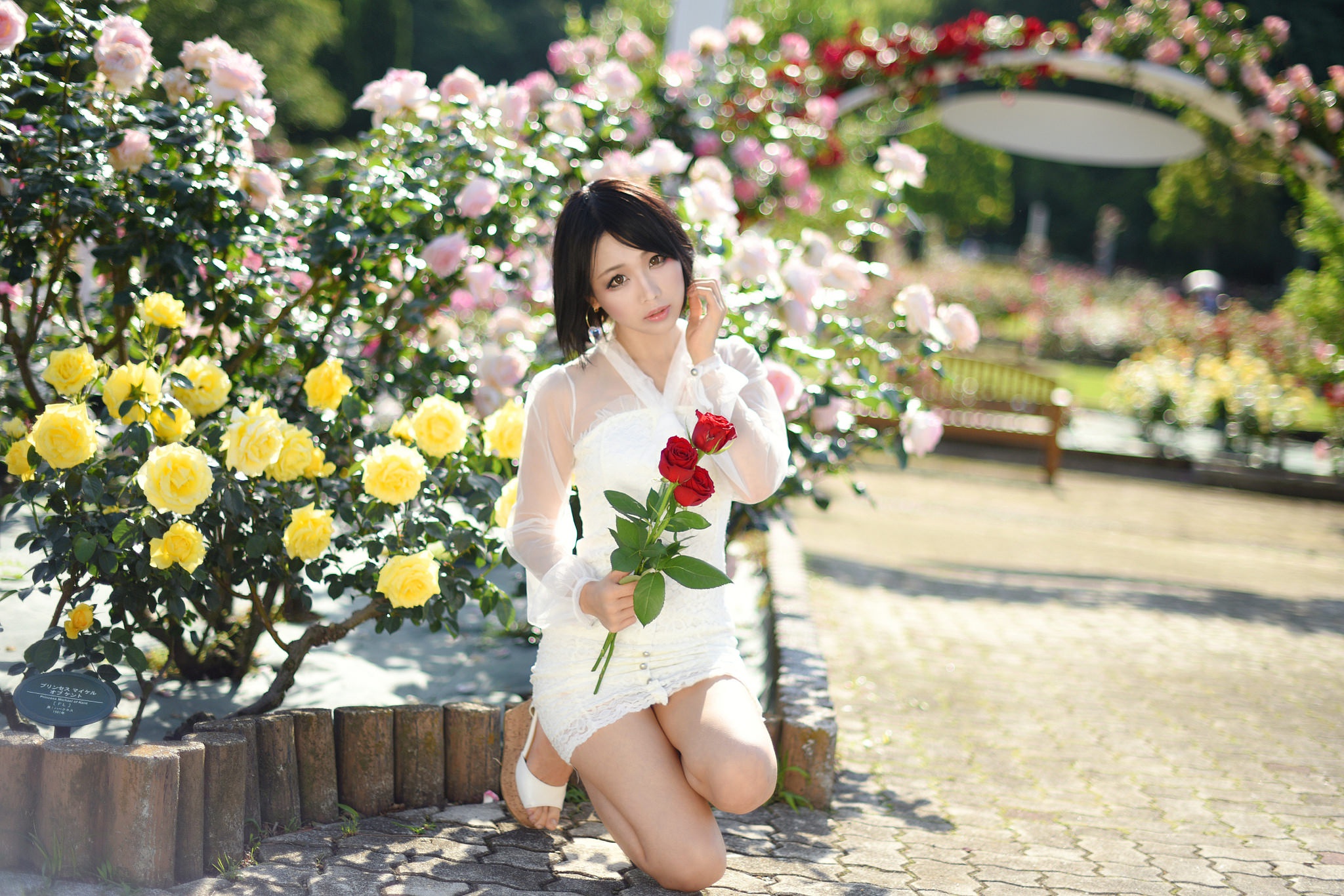 Download mobile wallpaper Flower, Rose, Brunette, Model, Women, Asian, Depth Of Field, White Dress for free.