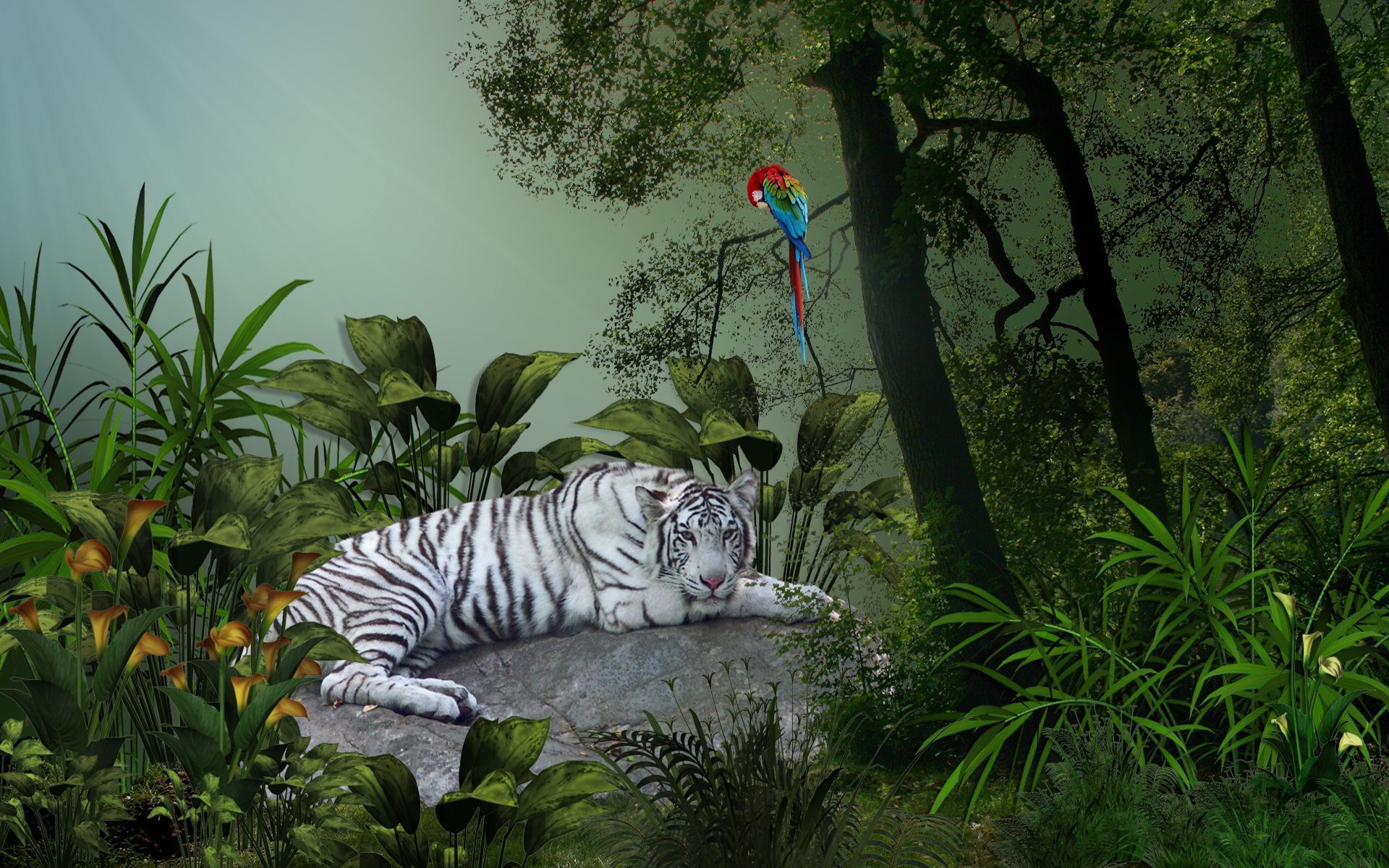 297990 télécharger le fond d'écran animaux, tigre blanc, chats - économiseurs d'écran et images gratuitement